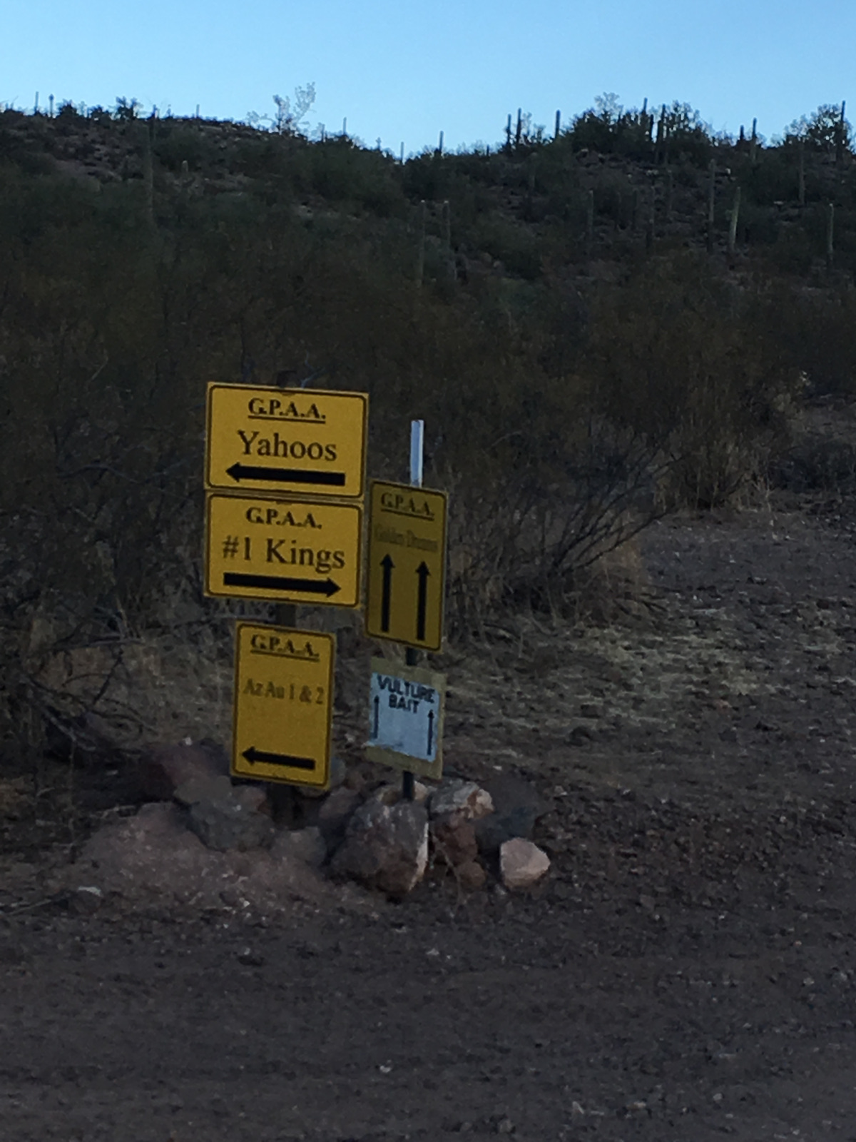 Member content 19 of 29