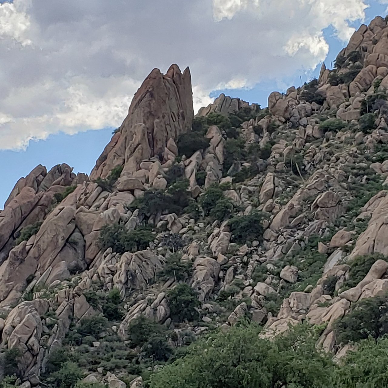 Member content 11 of 15