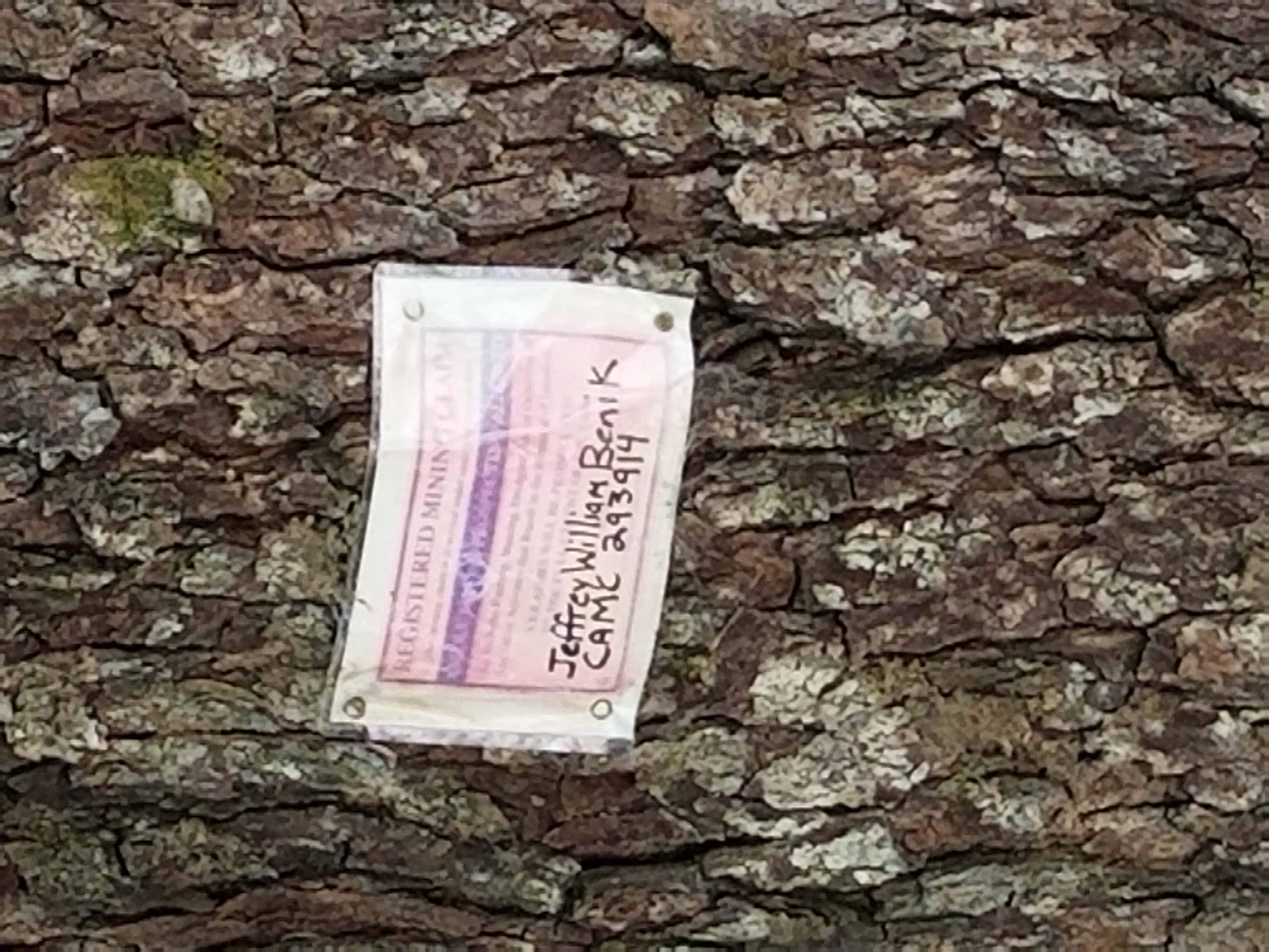 Member content 2 of 2