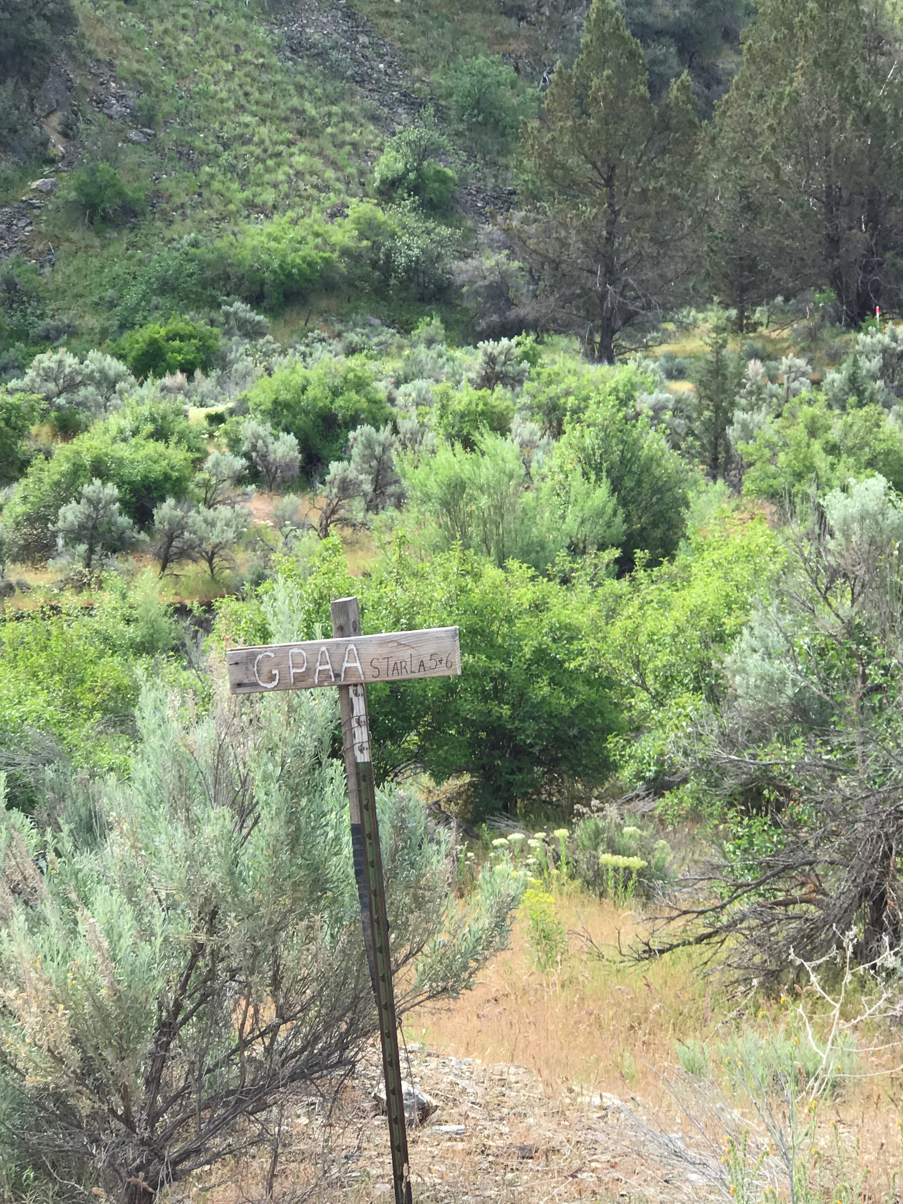 Member content 5 of 6