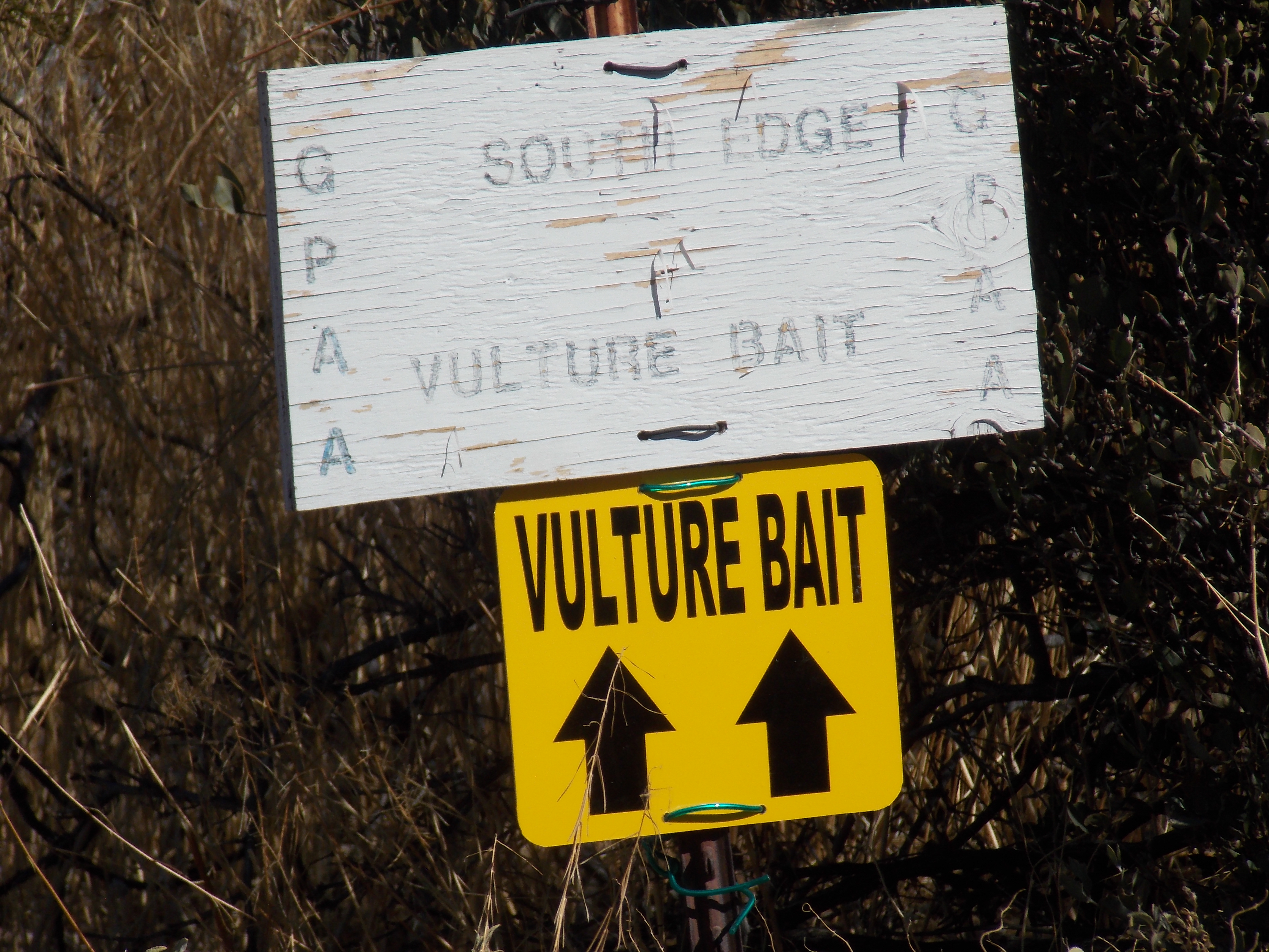 Member content 37 of 41