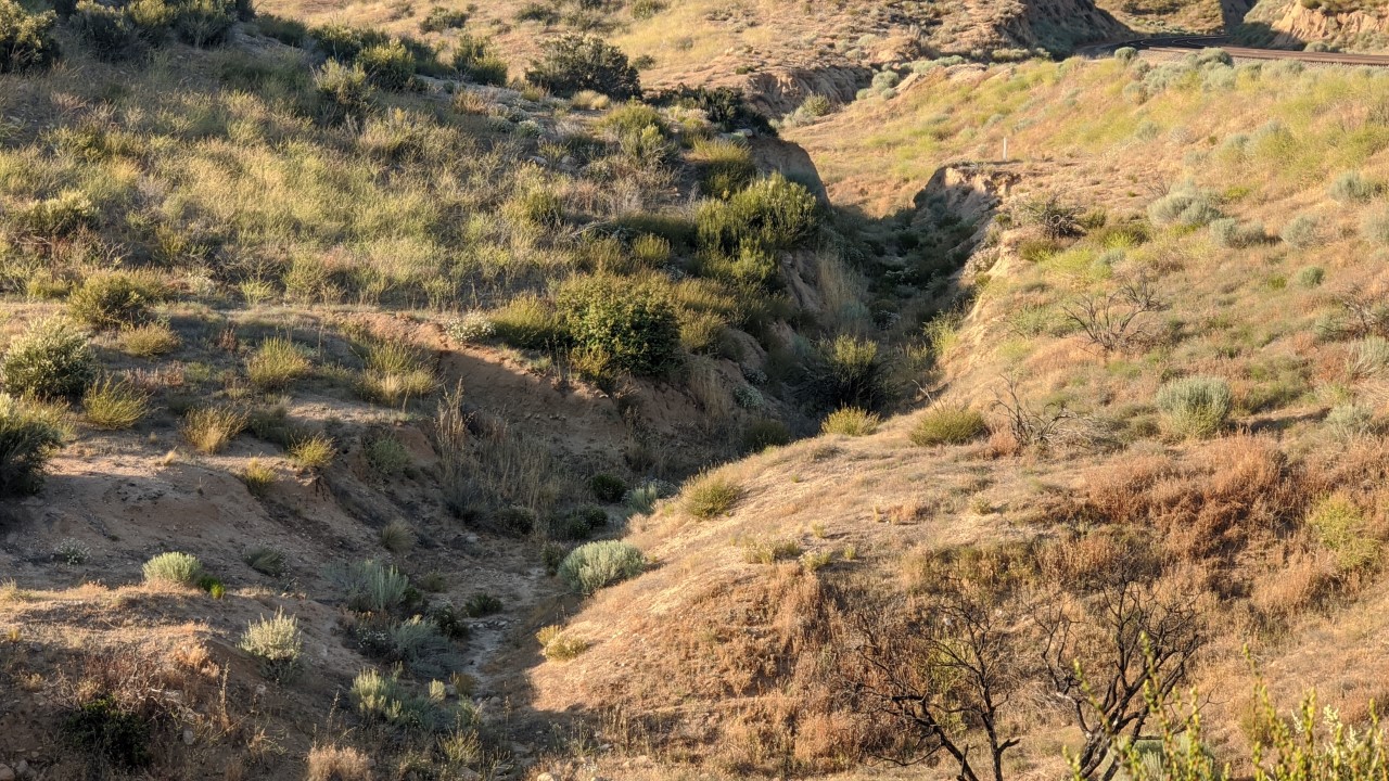 Member content 87 of 97