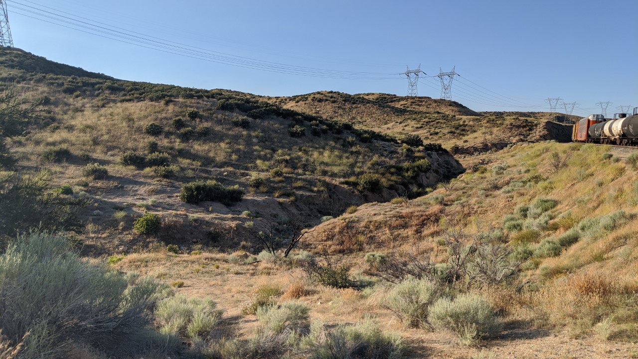 Member content 88 of 97