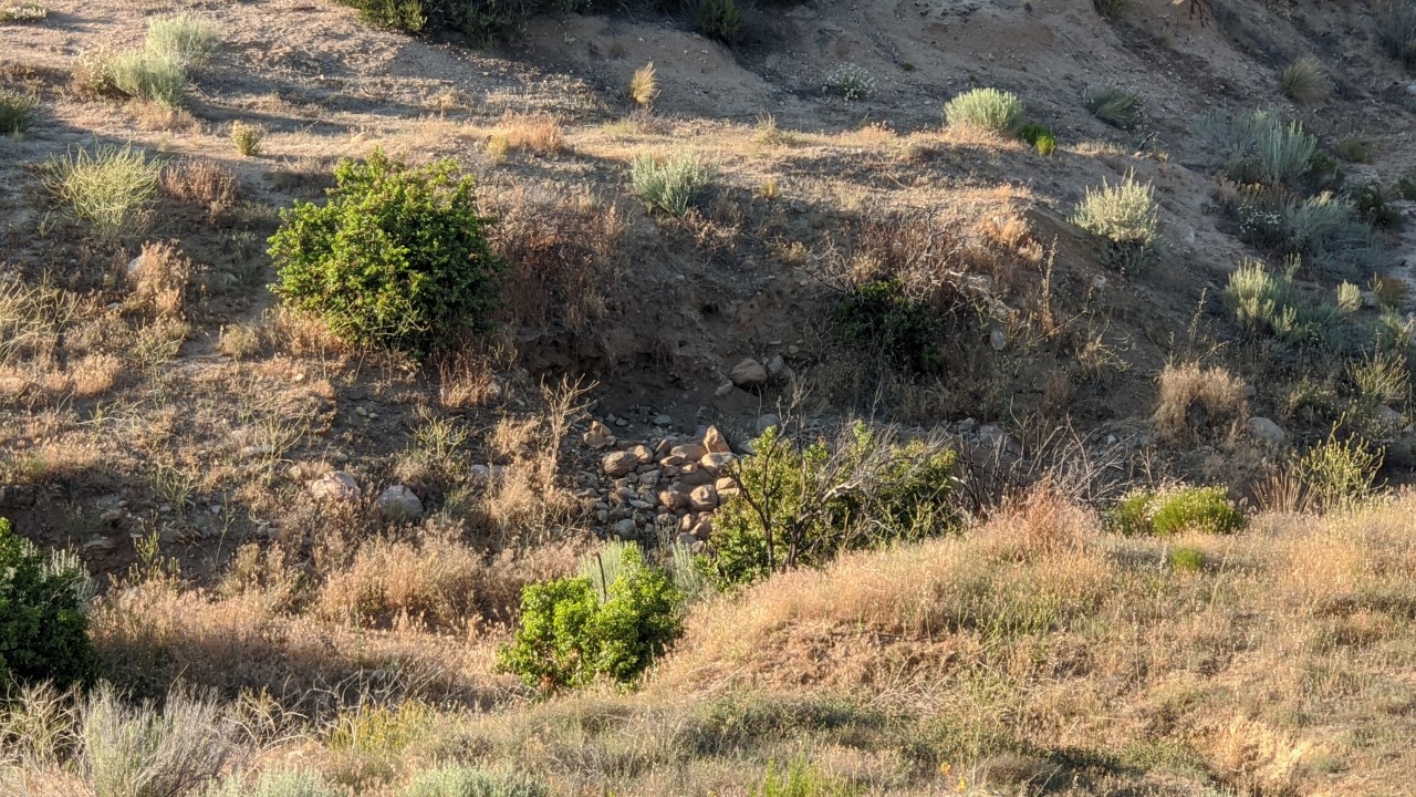 Member content 89 of 97