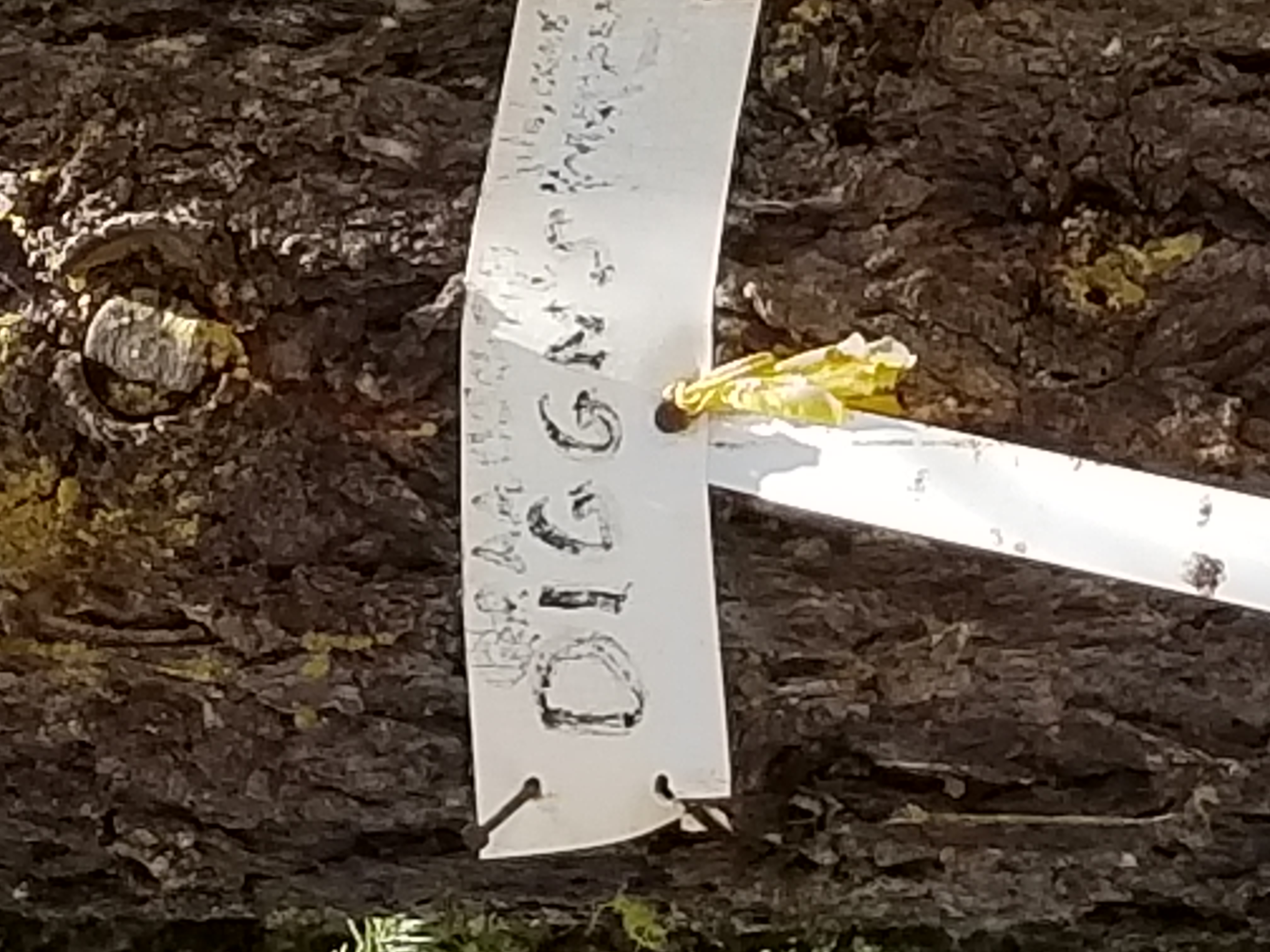 Member content 3 of 5