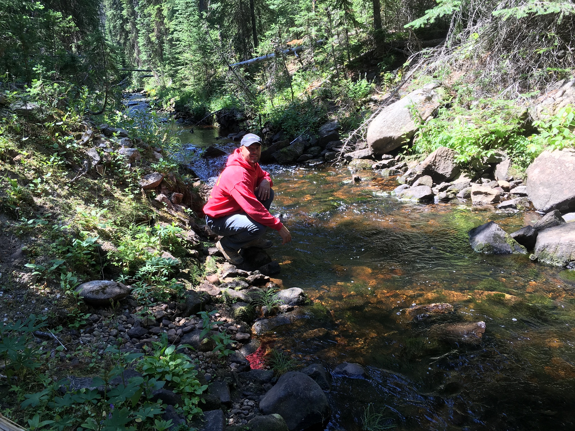 Member content 1 of 3