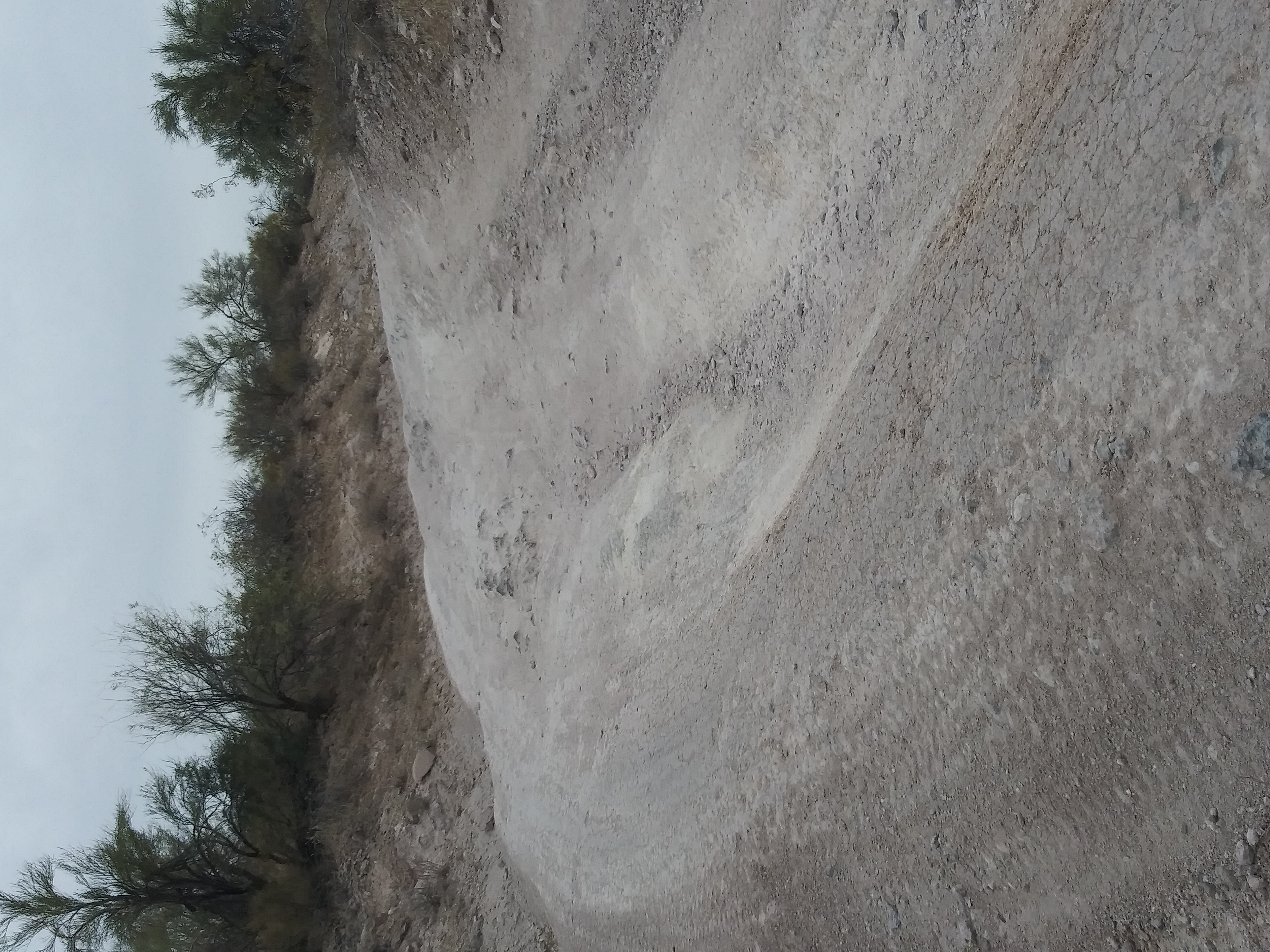 Member content 7 of 7