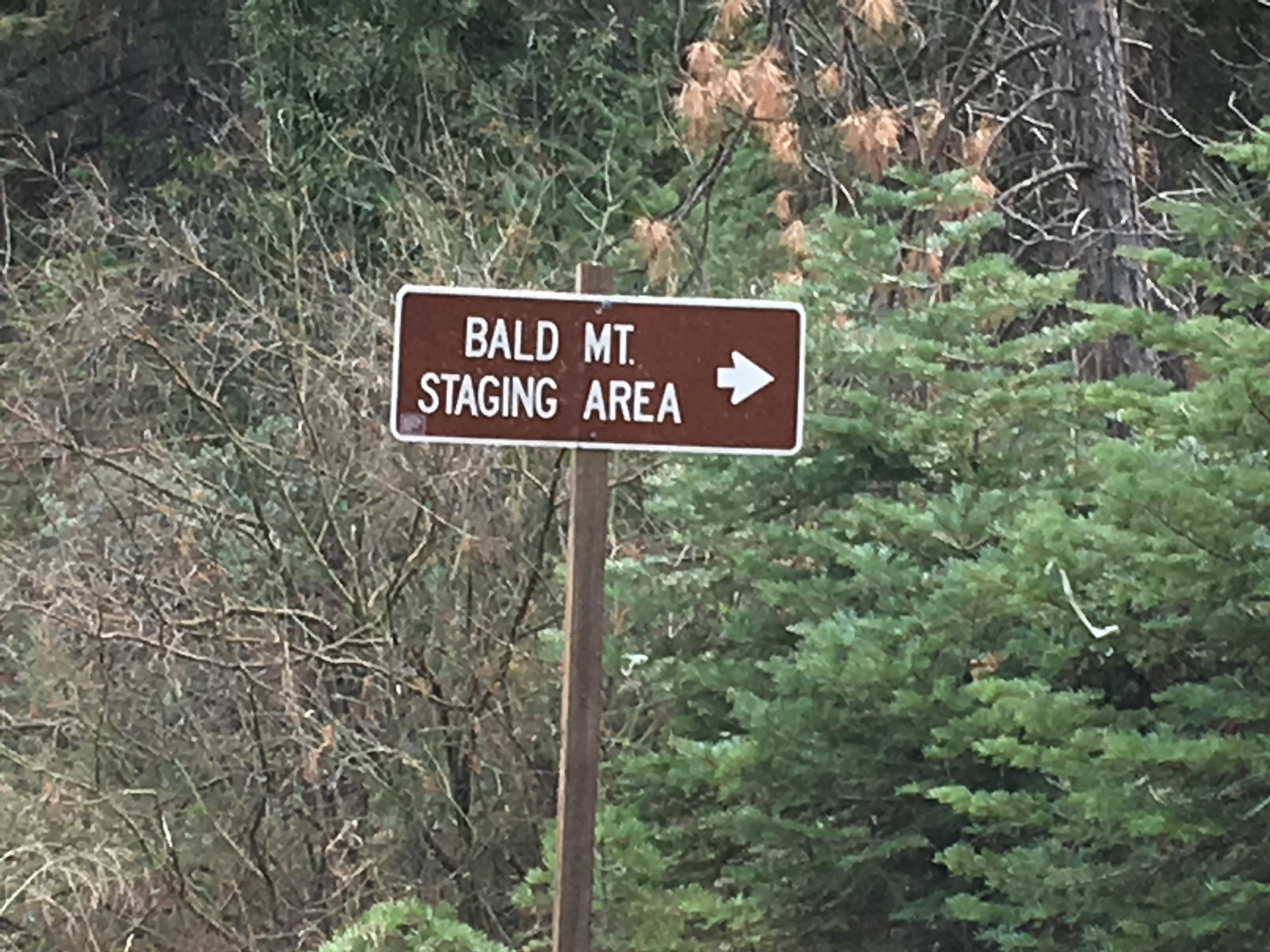 Member content 5 of 11