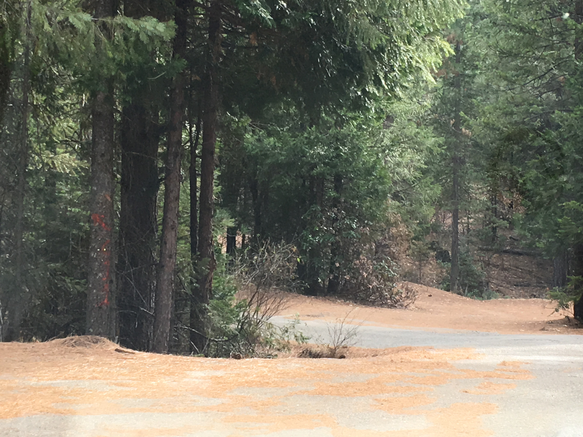 Member content 6 of 11