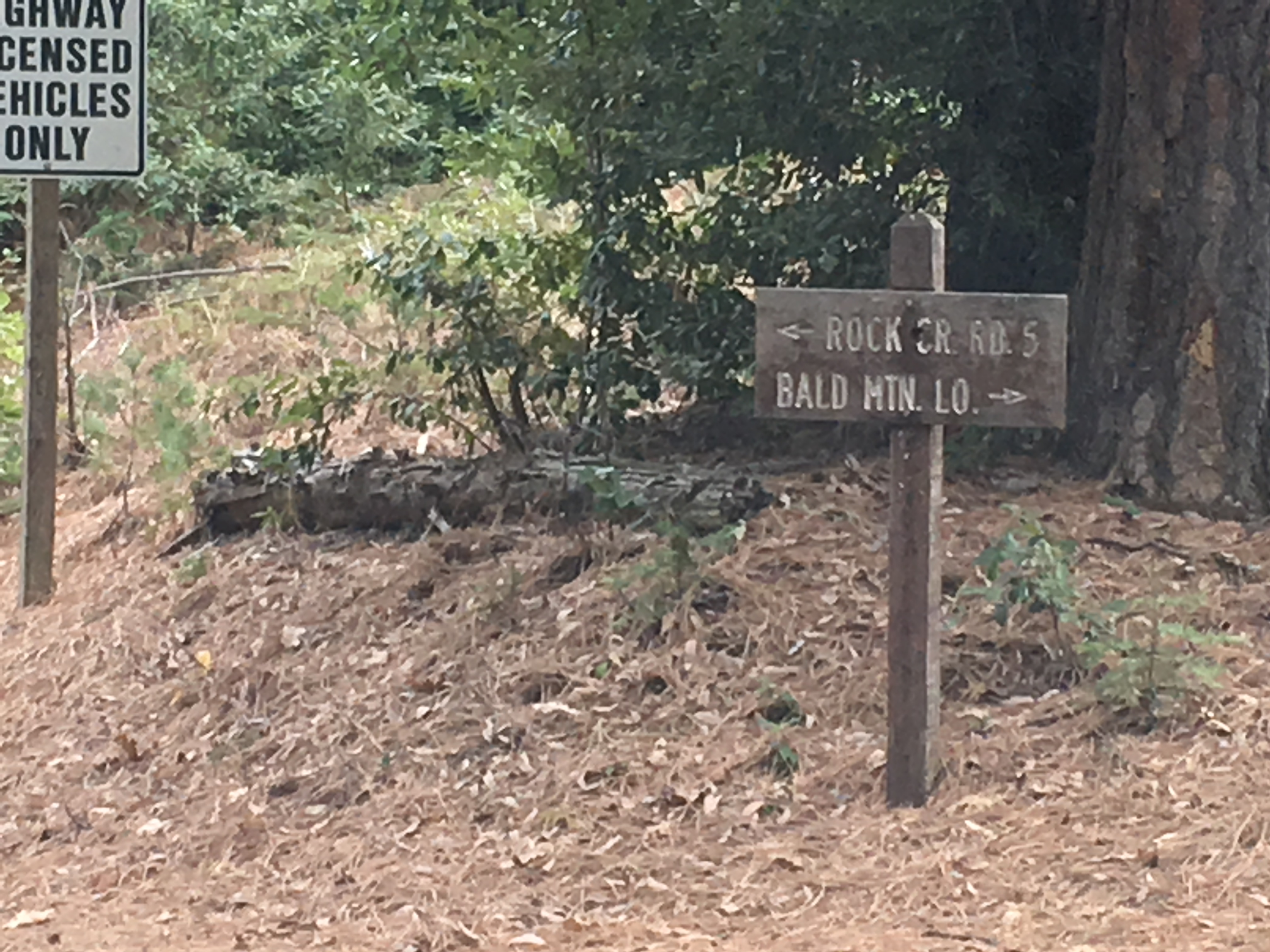 Member content 7 of 11