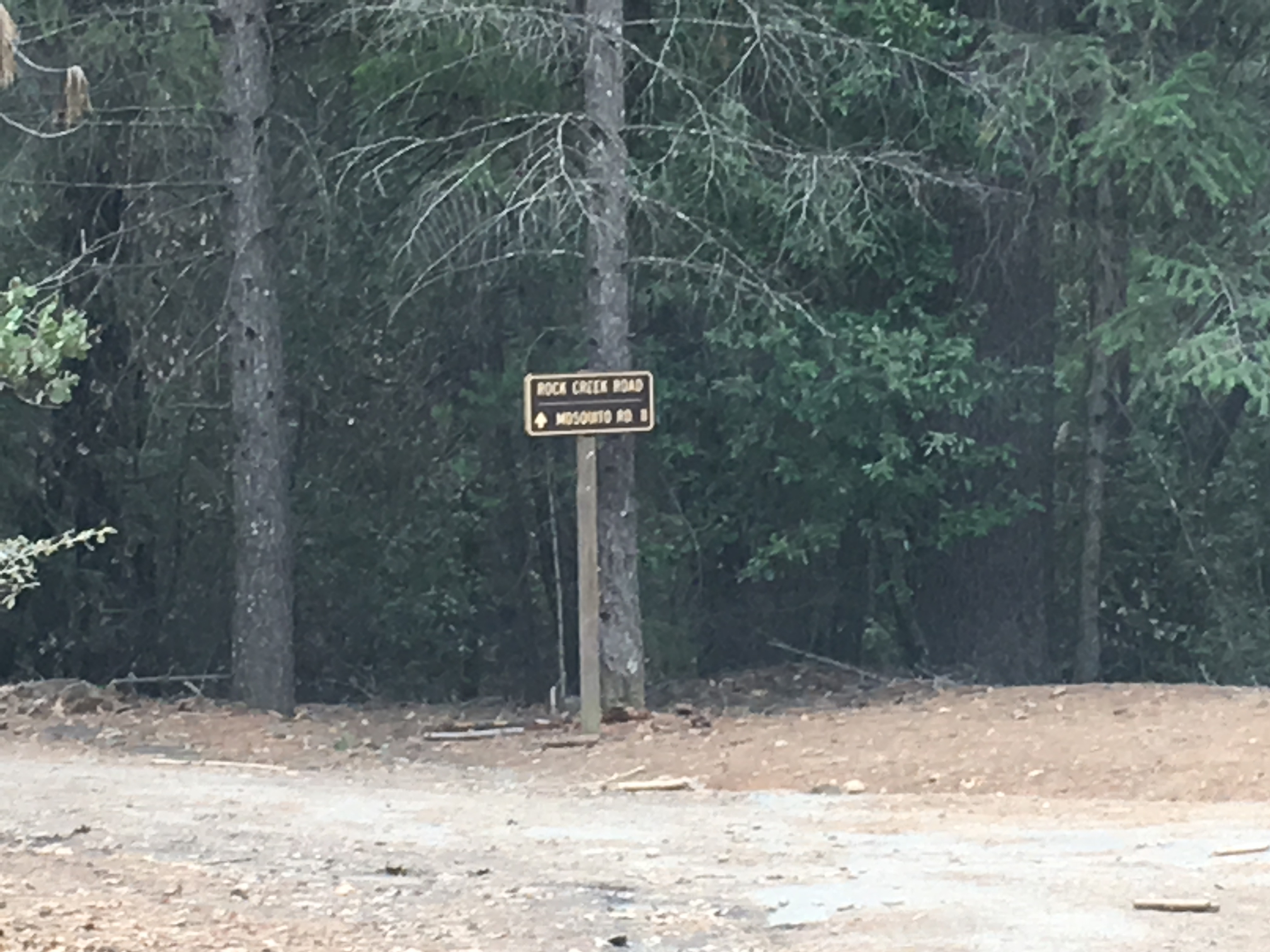 Member content 8 of 11