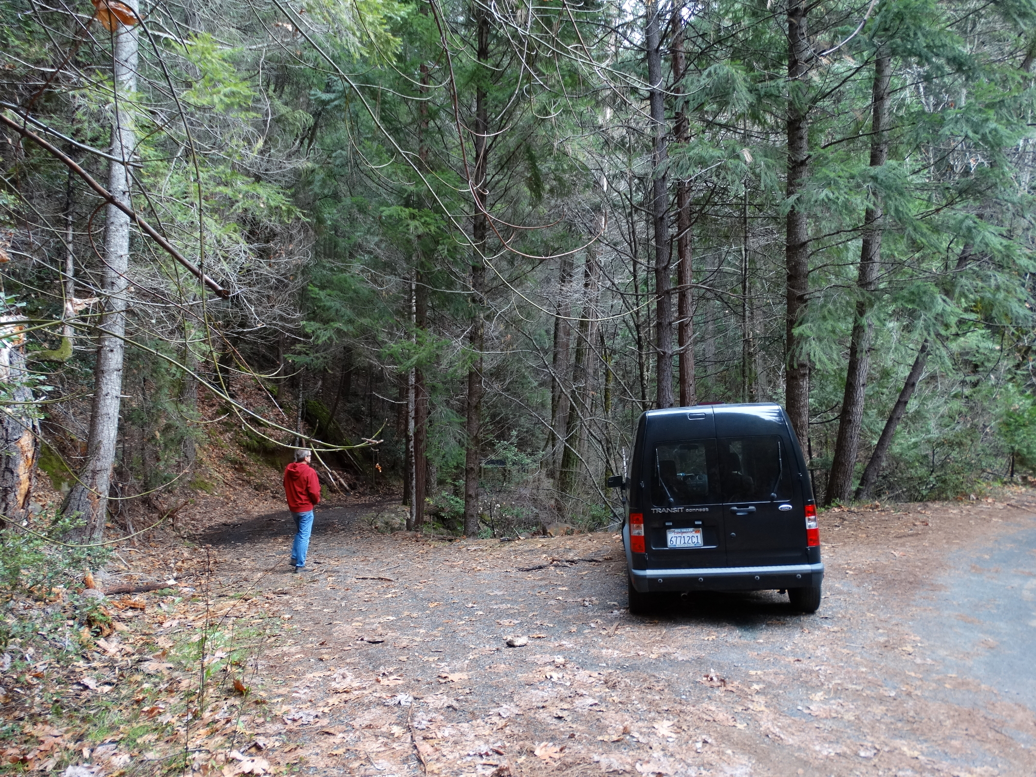 Member content 9 of 11