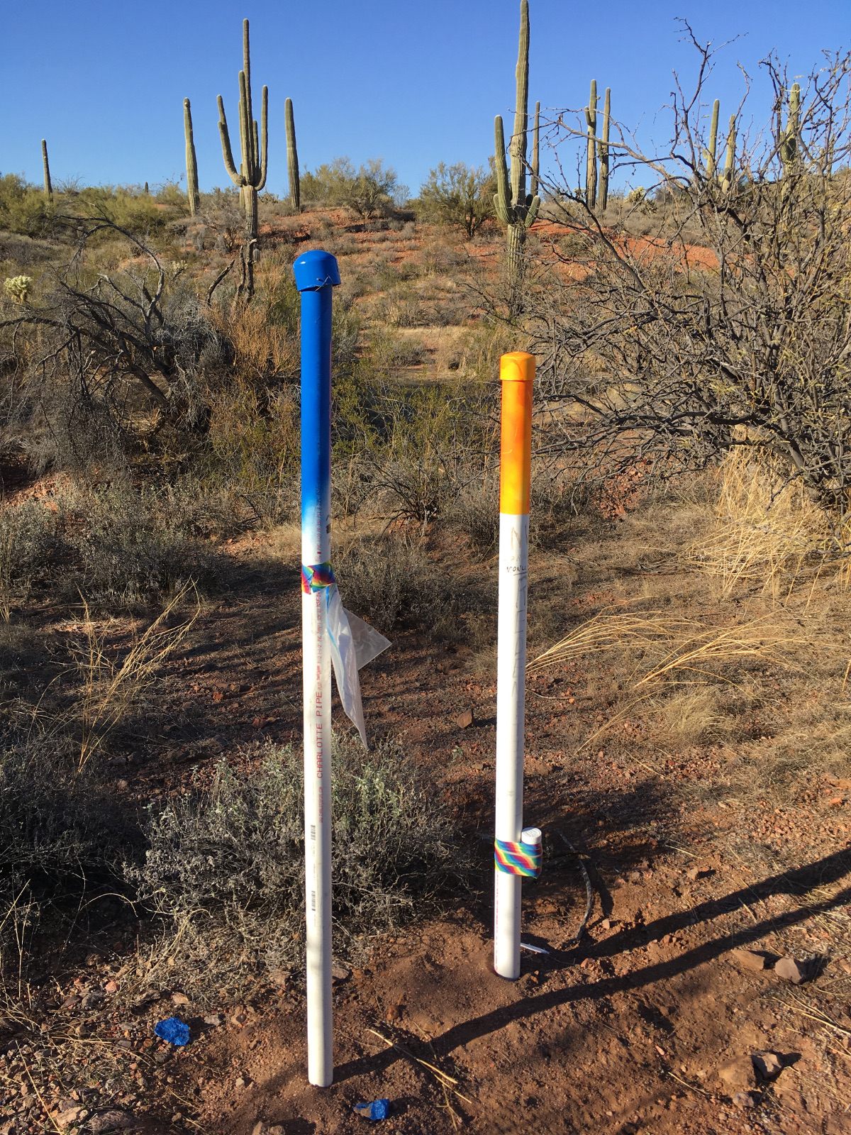 Member content 7 of 8