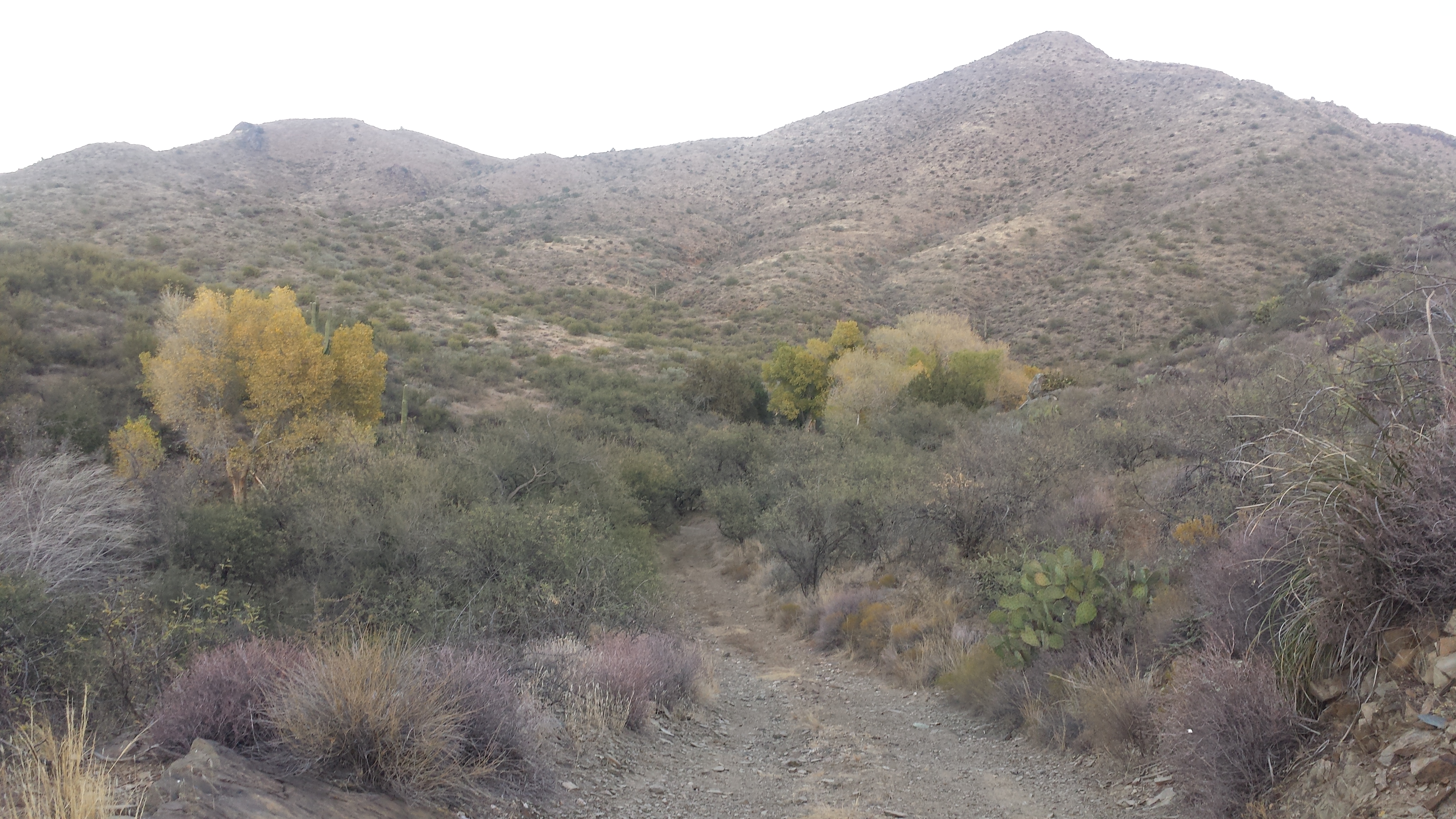 Member content 9 of 13