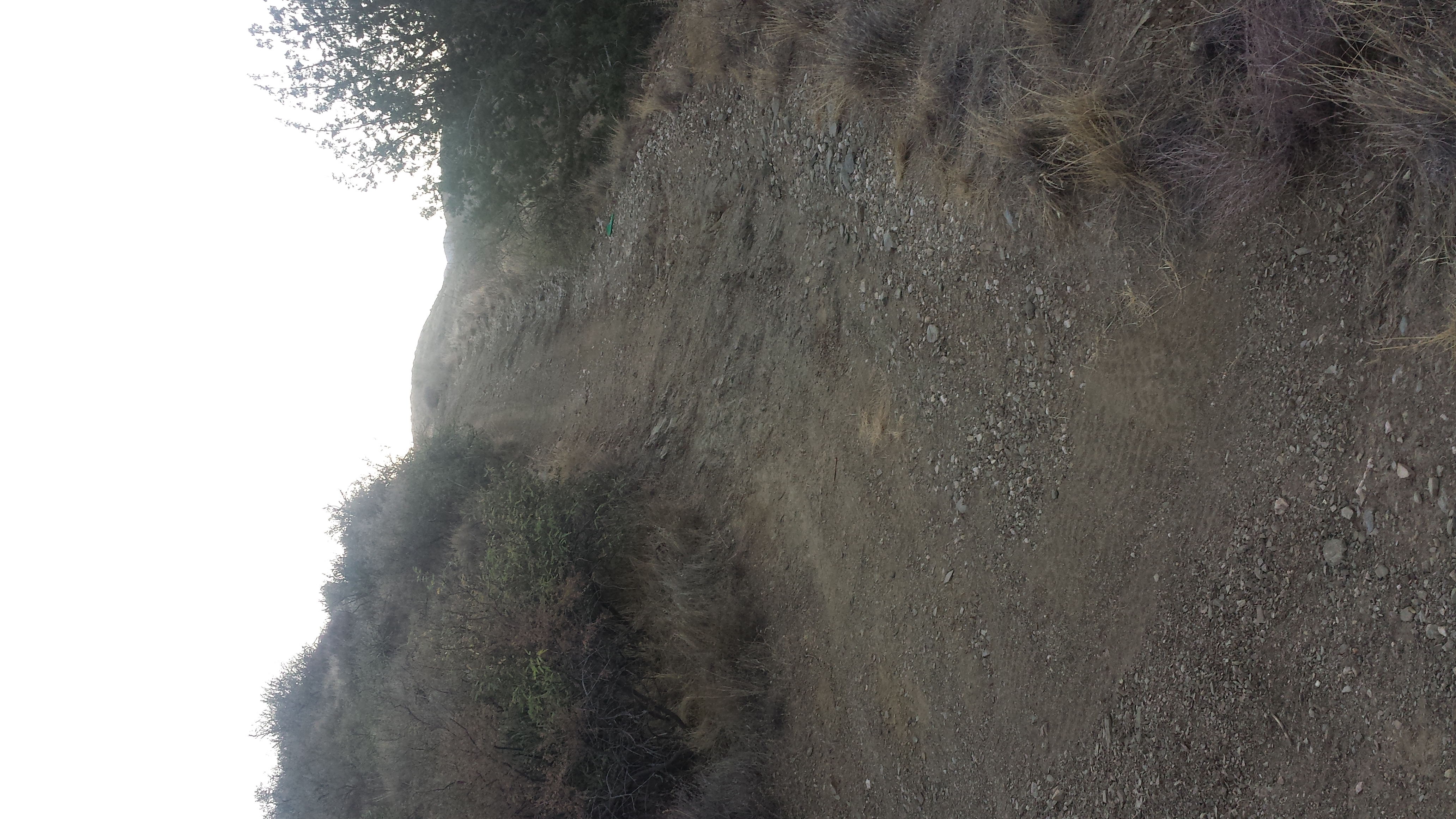 Member content 10 of 13