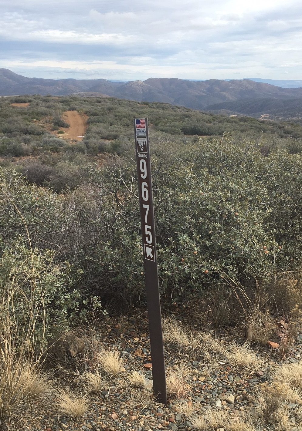 Member content 20 of 25