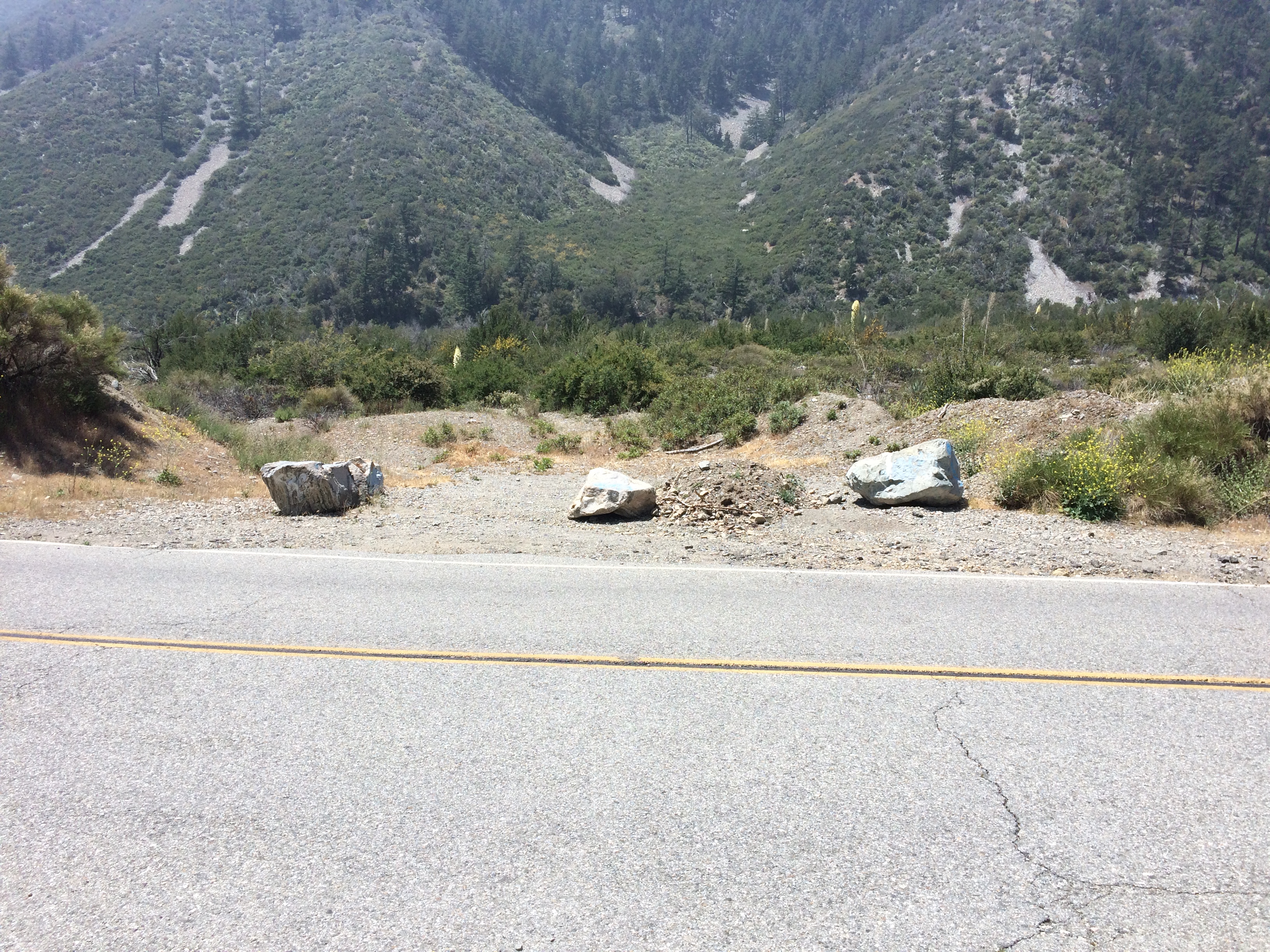 Member content 32 of 33