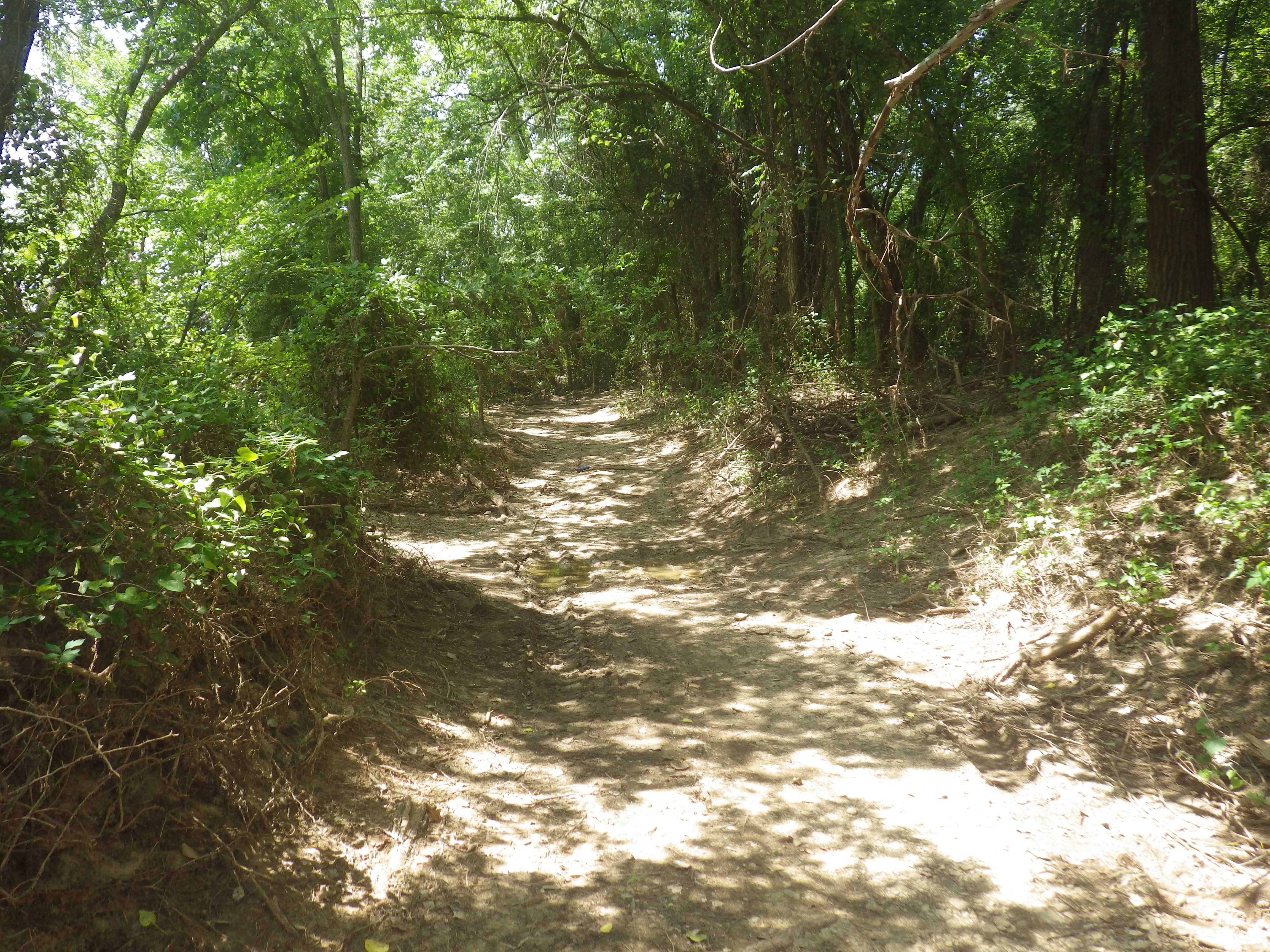 Member content 6 of 15