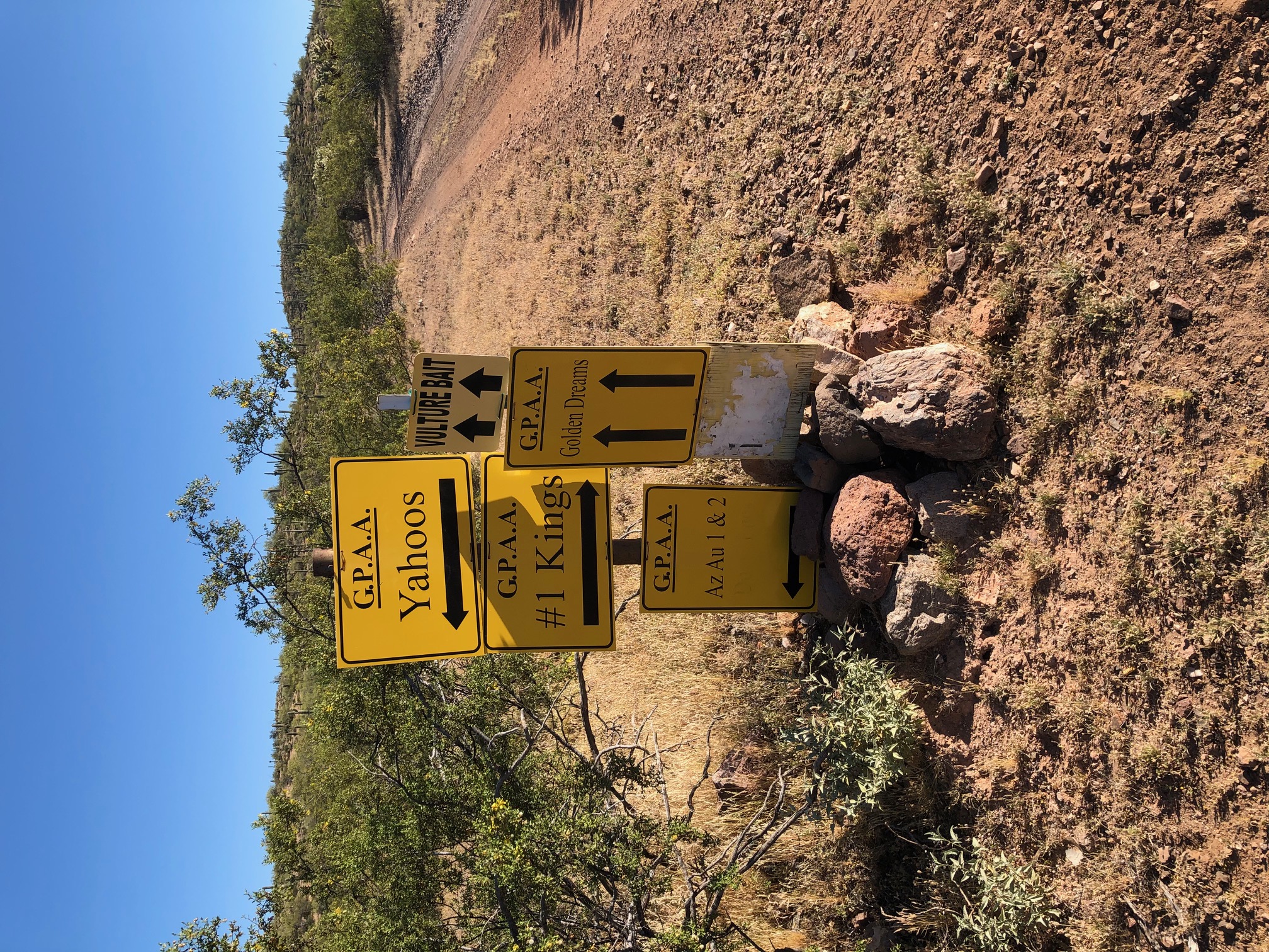 Member content 26 of 29