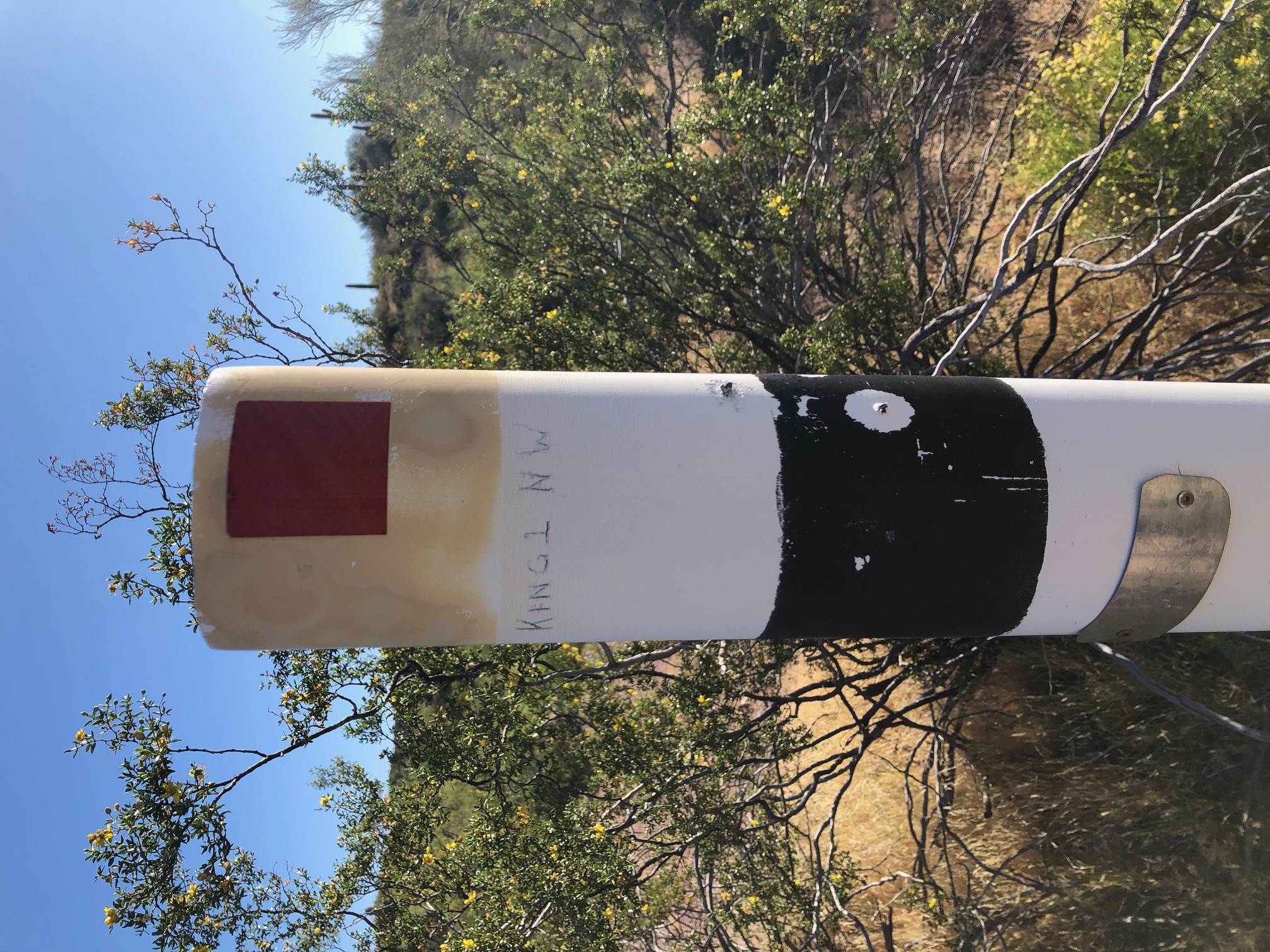 Member content 27 of 29