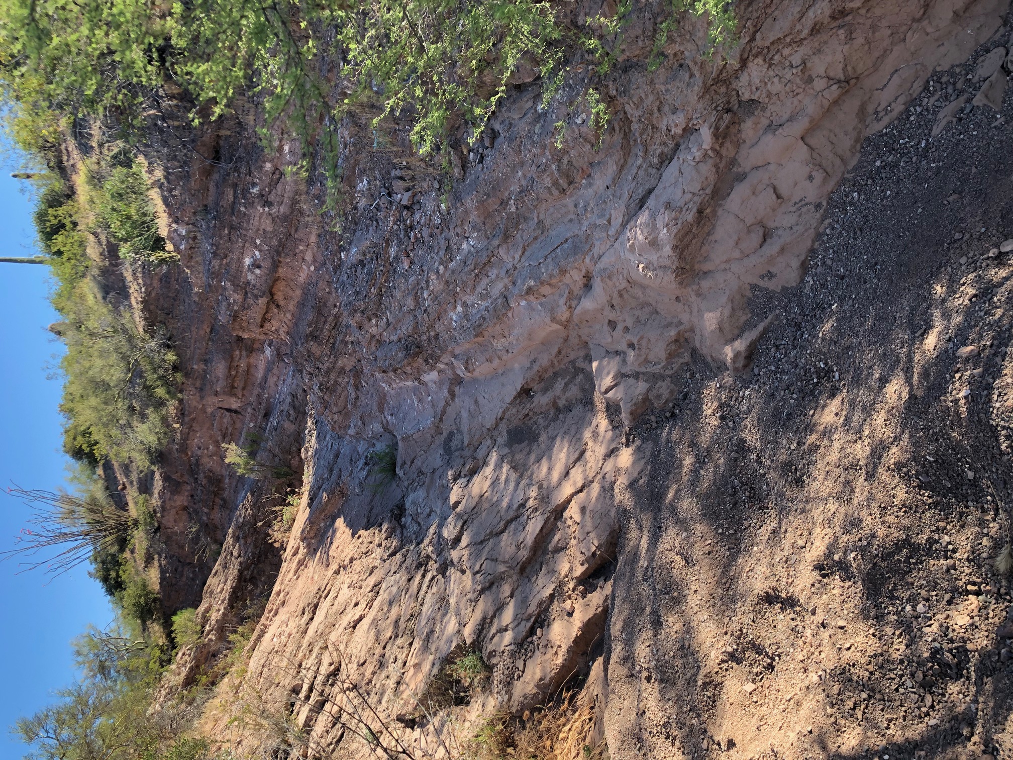 Member content 28 of 29