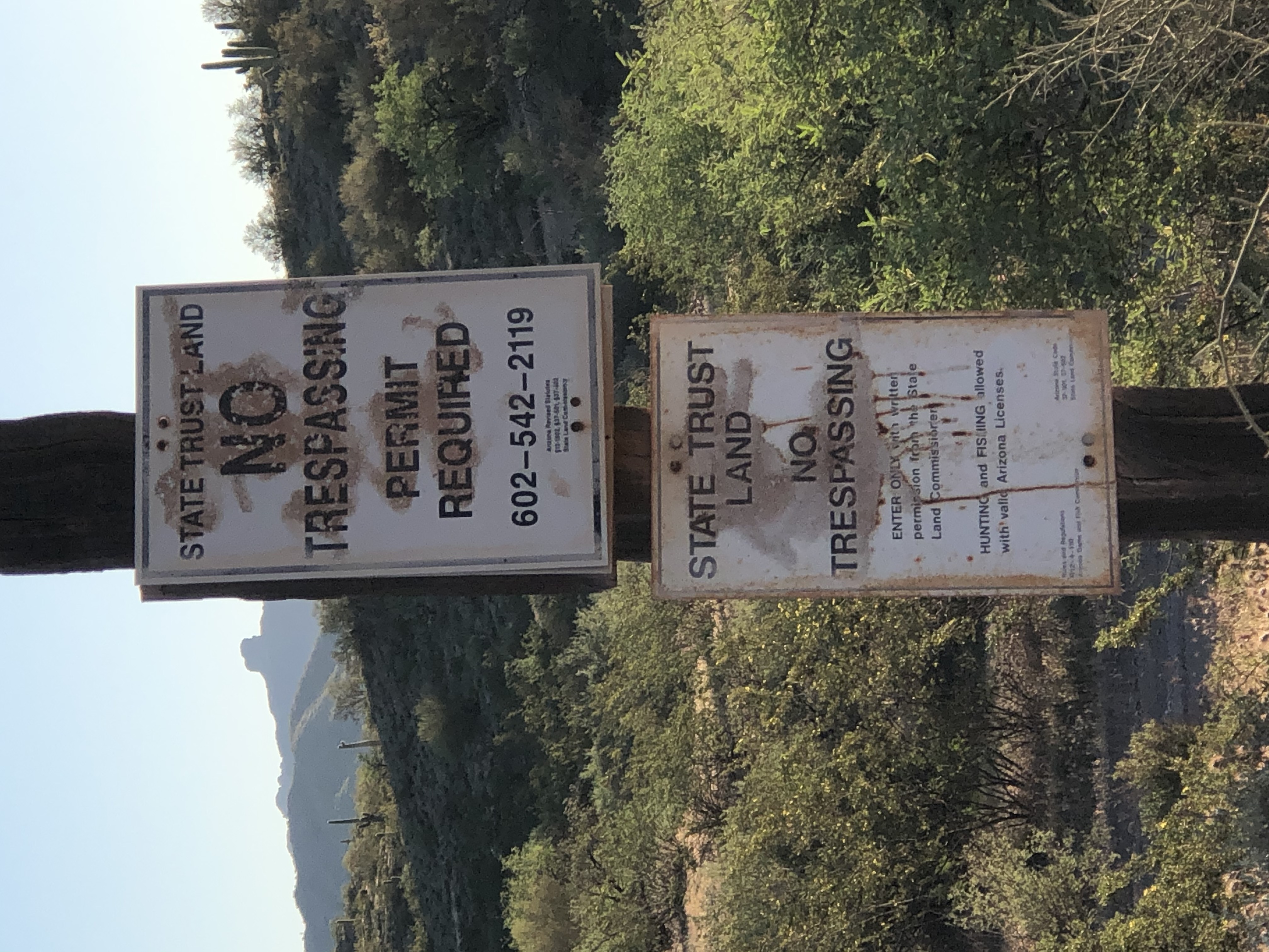 Member content 29 of 29