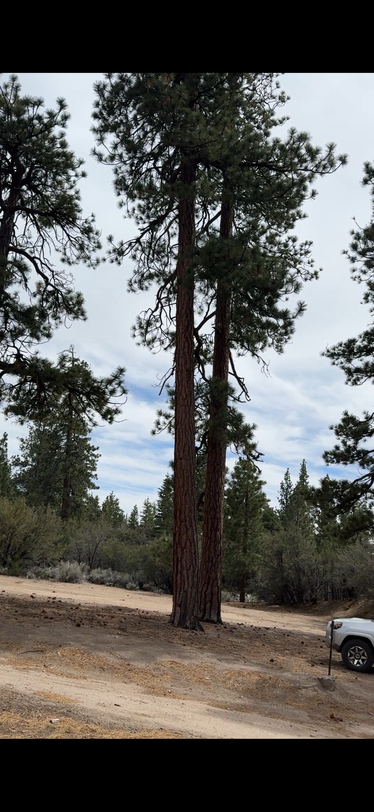 Member content 24 of 24