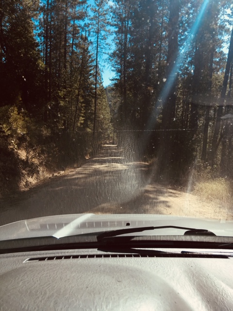 Member content 5 of 5