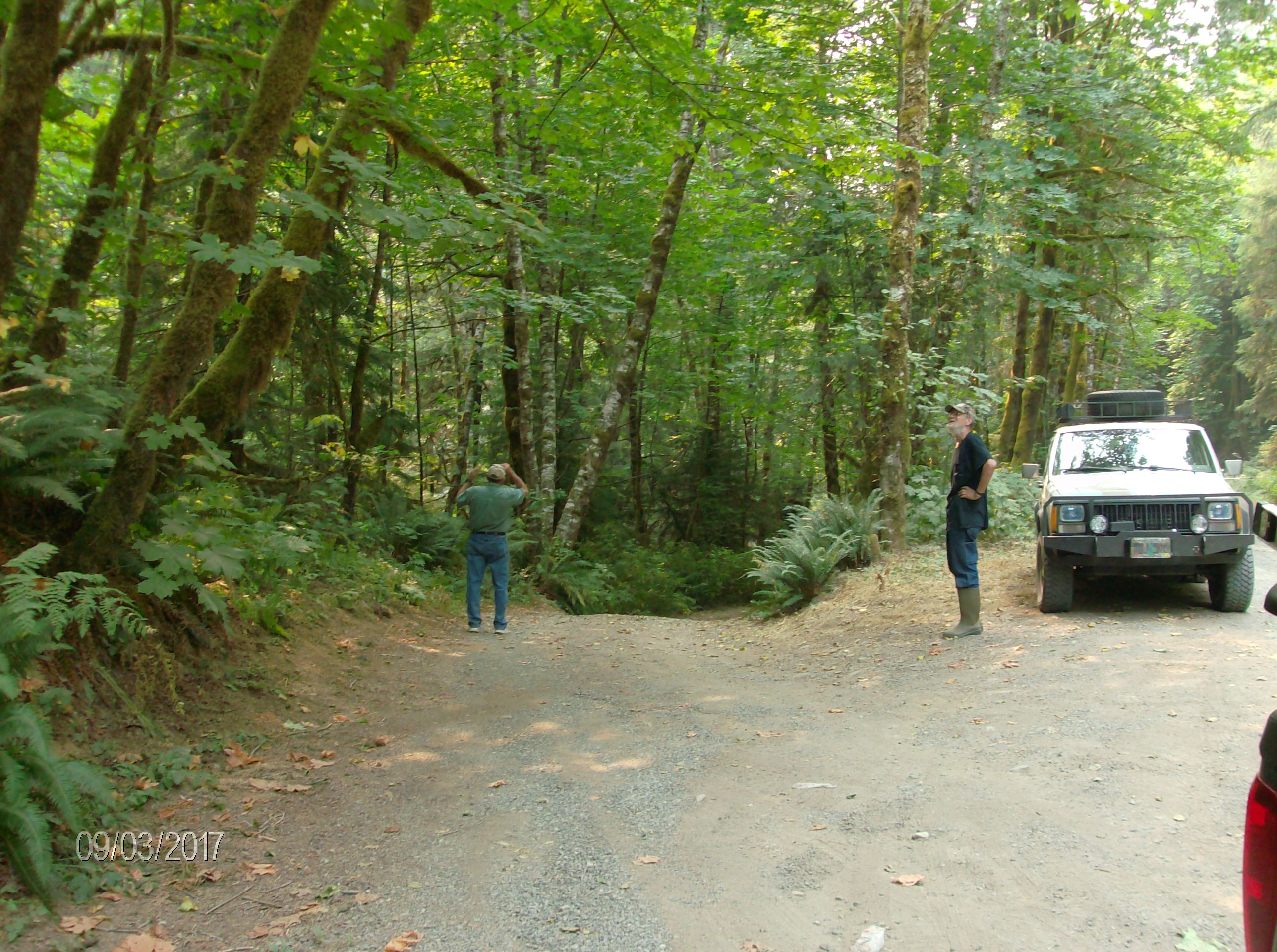 Member content 6 of 9