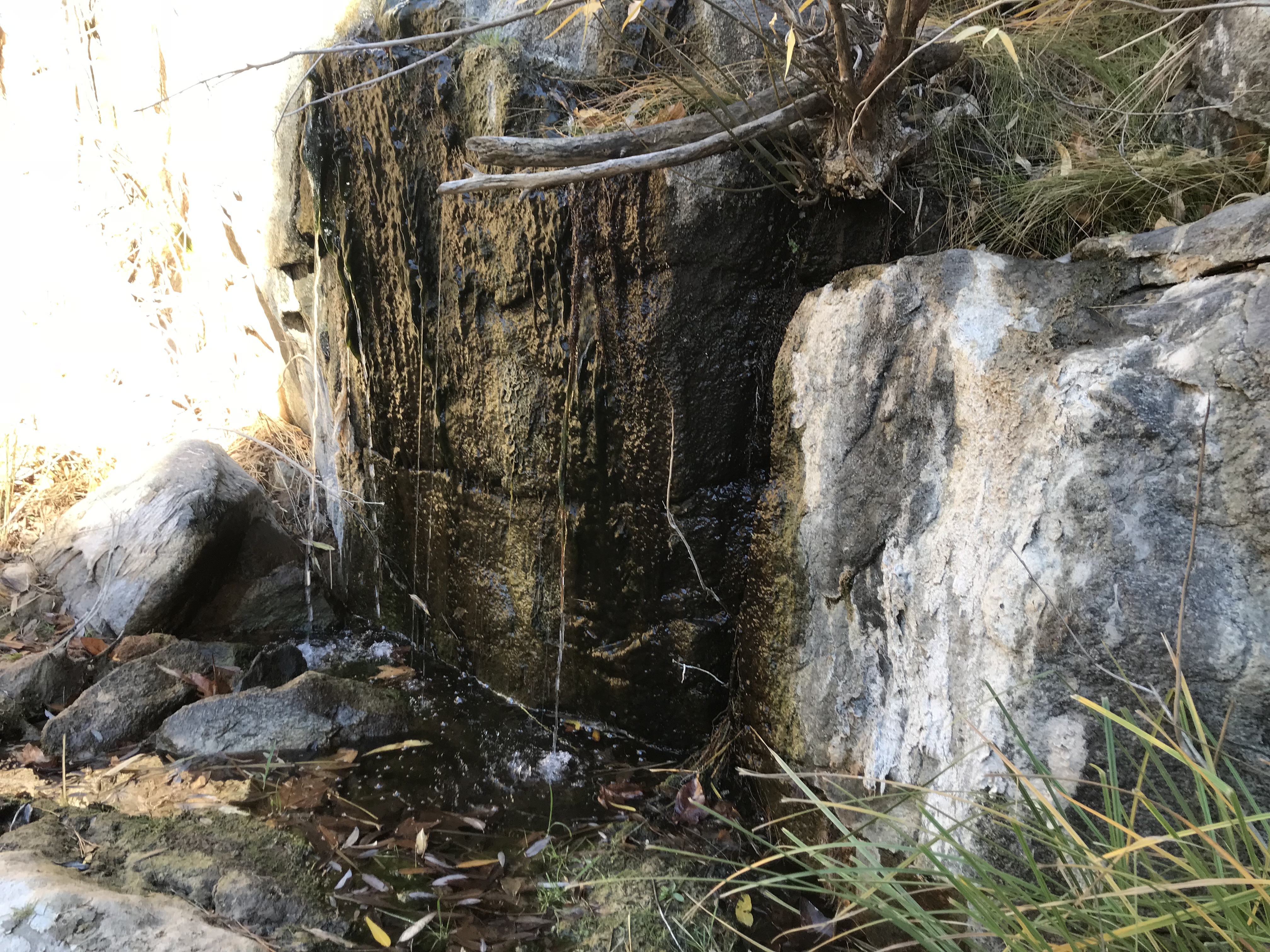 Member content 6 of 10