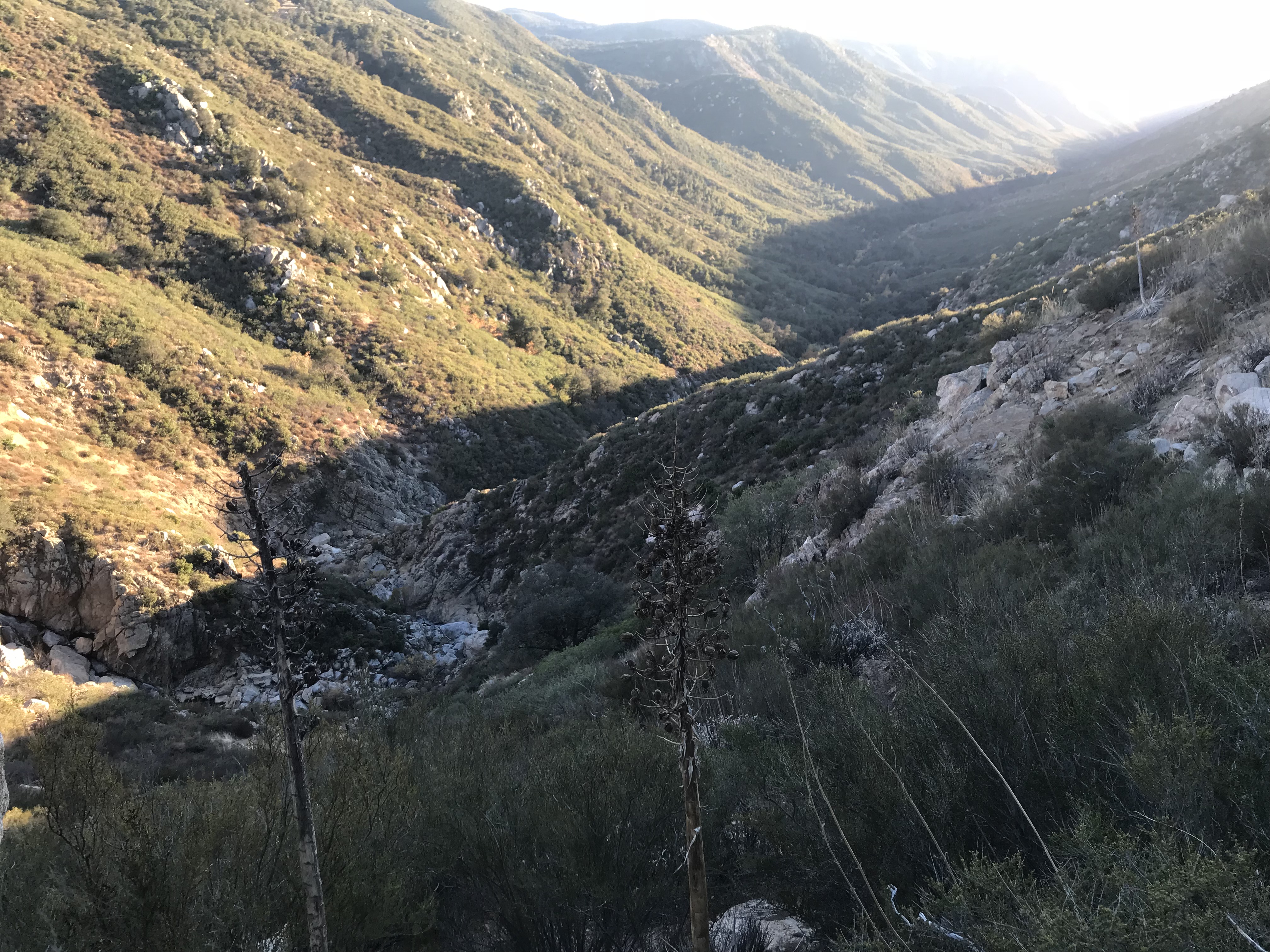 Member content 7 of 10