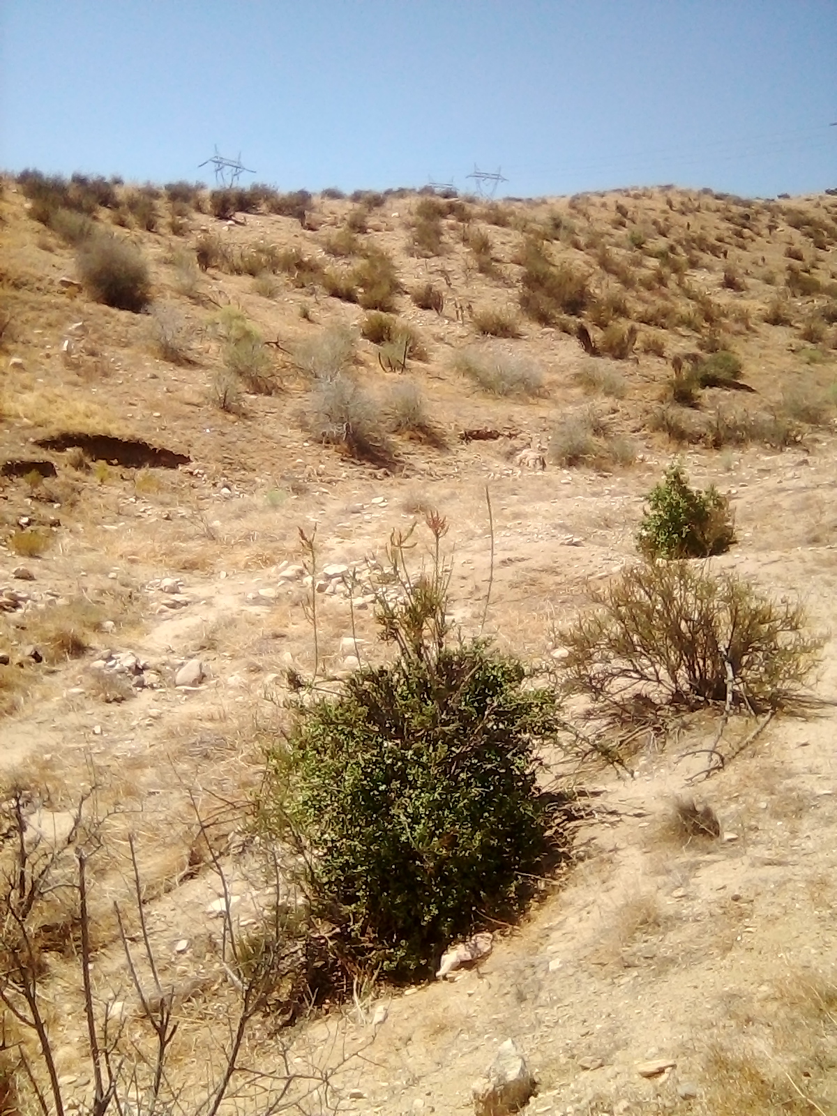 Member content 205 of 206