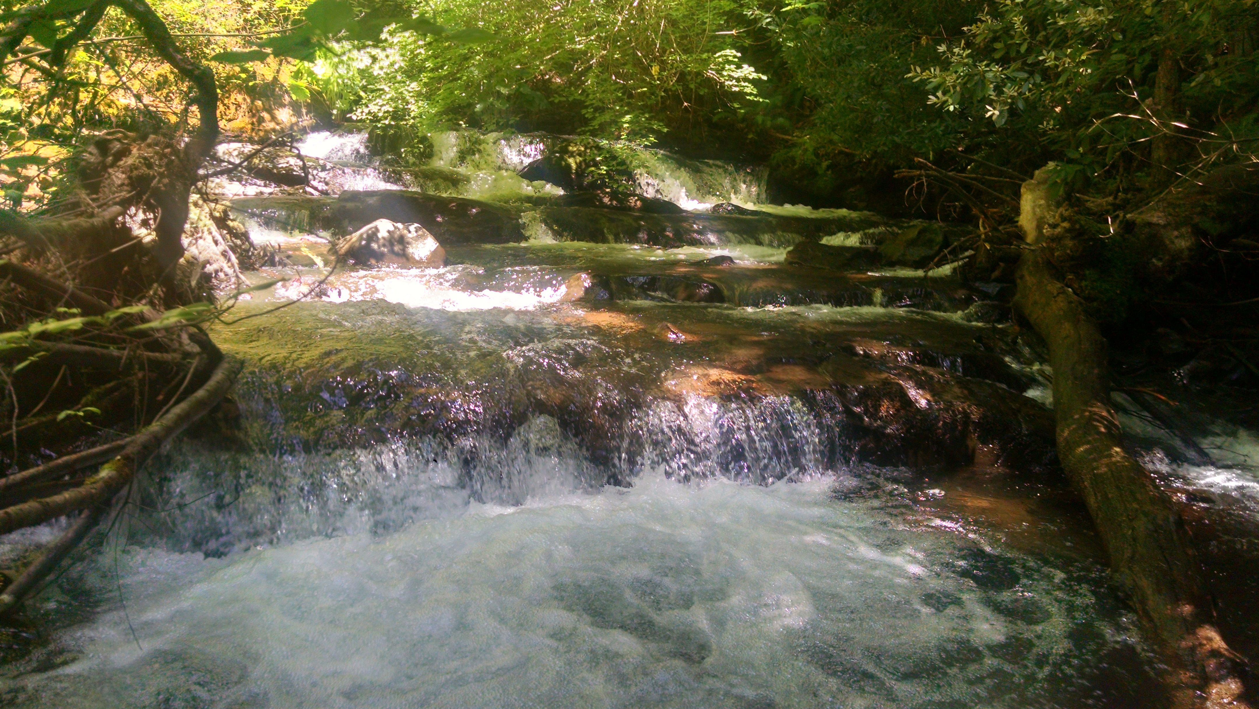 Member content 4 of 11