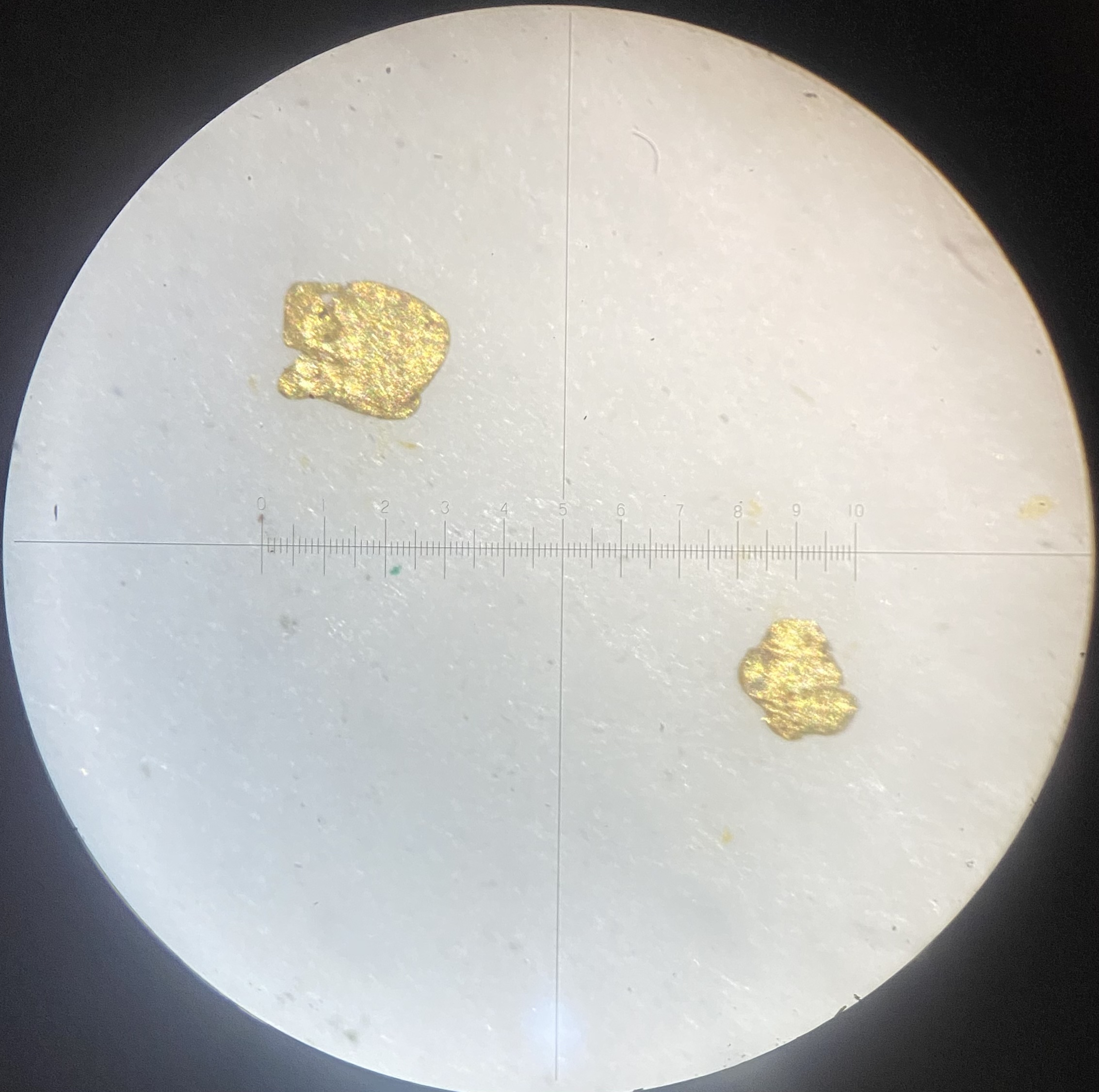 Member content 4 of 5