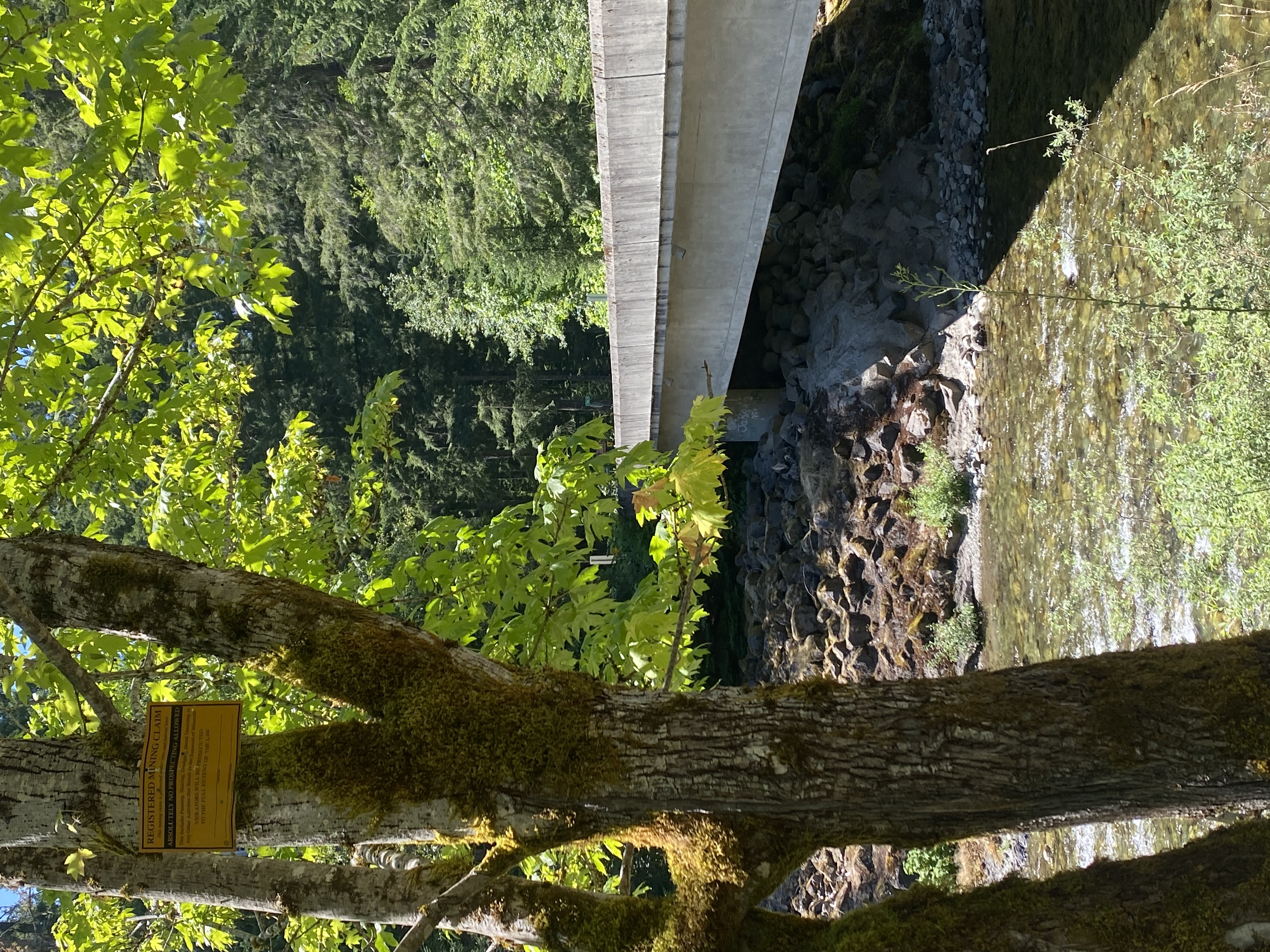 Member content 5 of 5