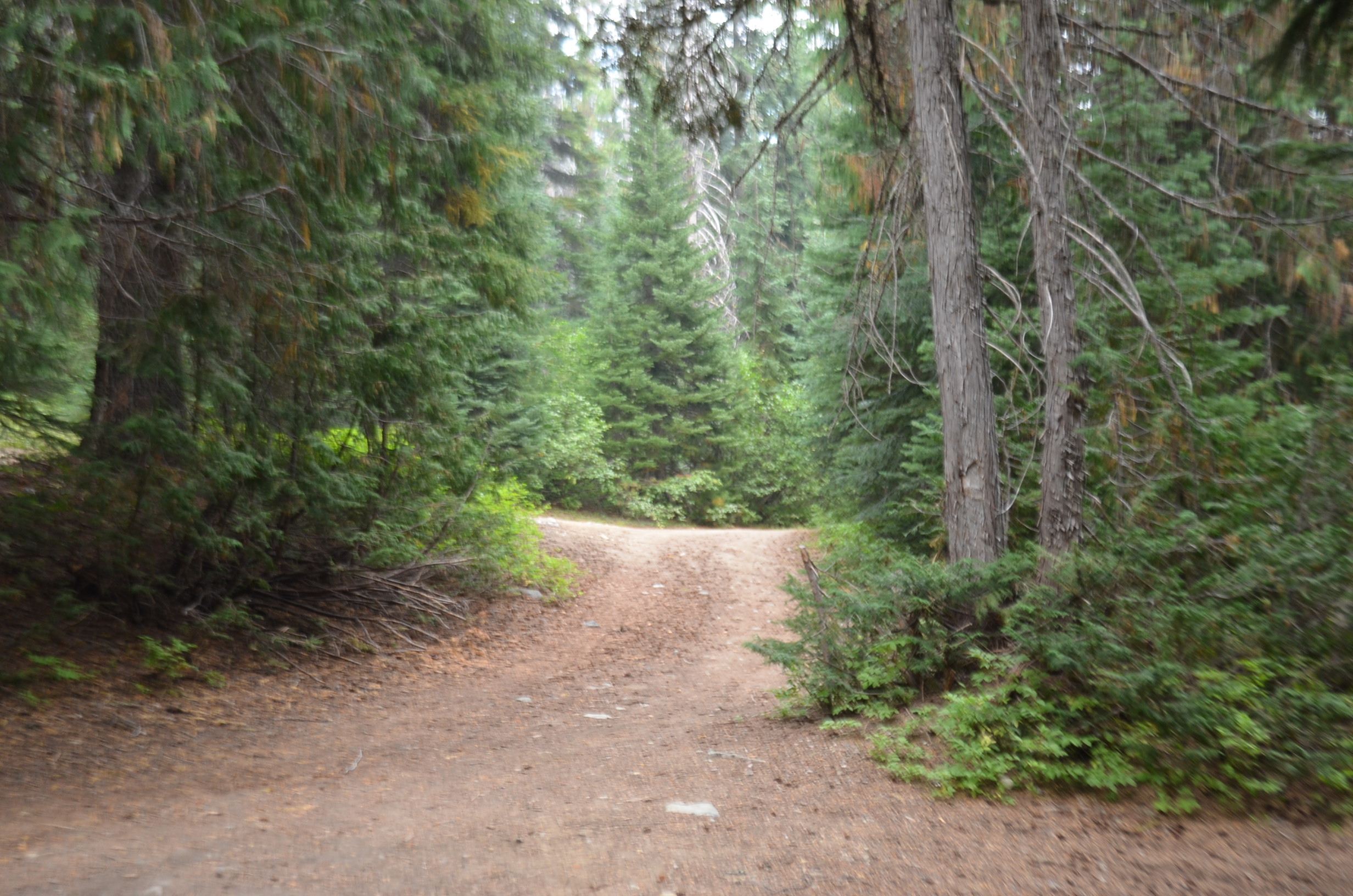 Member content 5 of 8