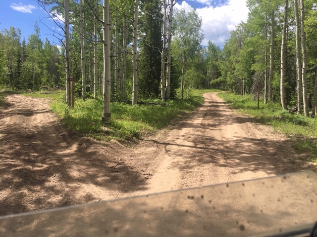 Member content 8 of 10