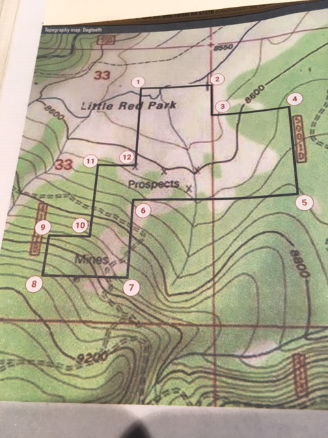 Member content 9 of 10