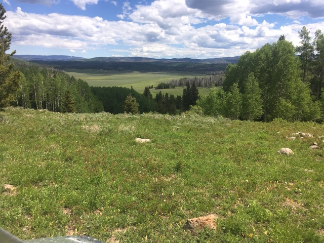 Member content 10 of 10