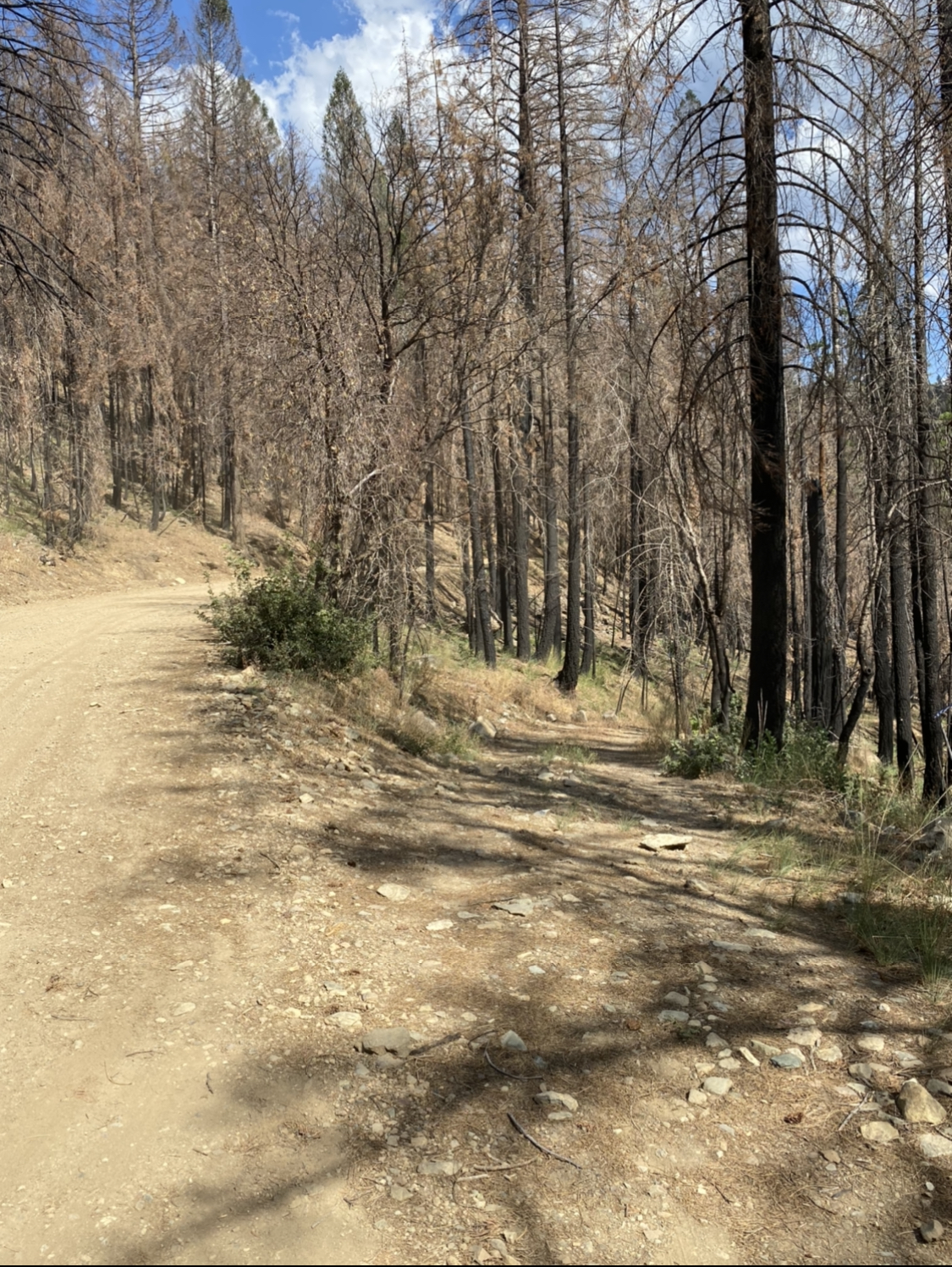 Member content 22 of 23