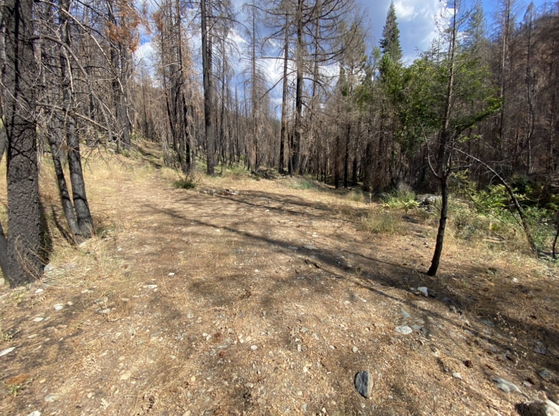 Member content 23 of 23