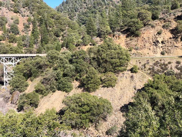 Member content 36 of 38