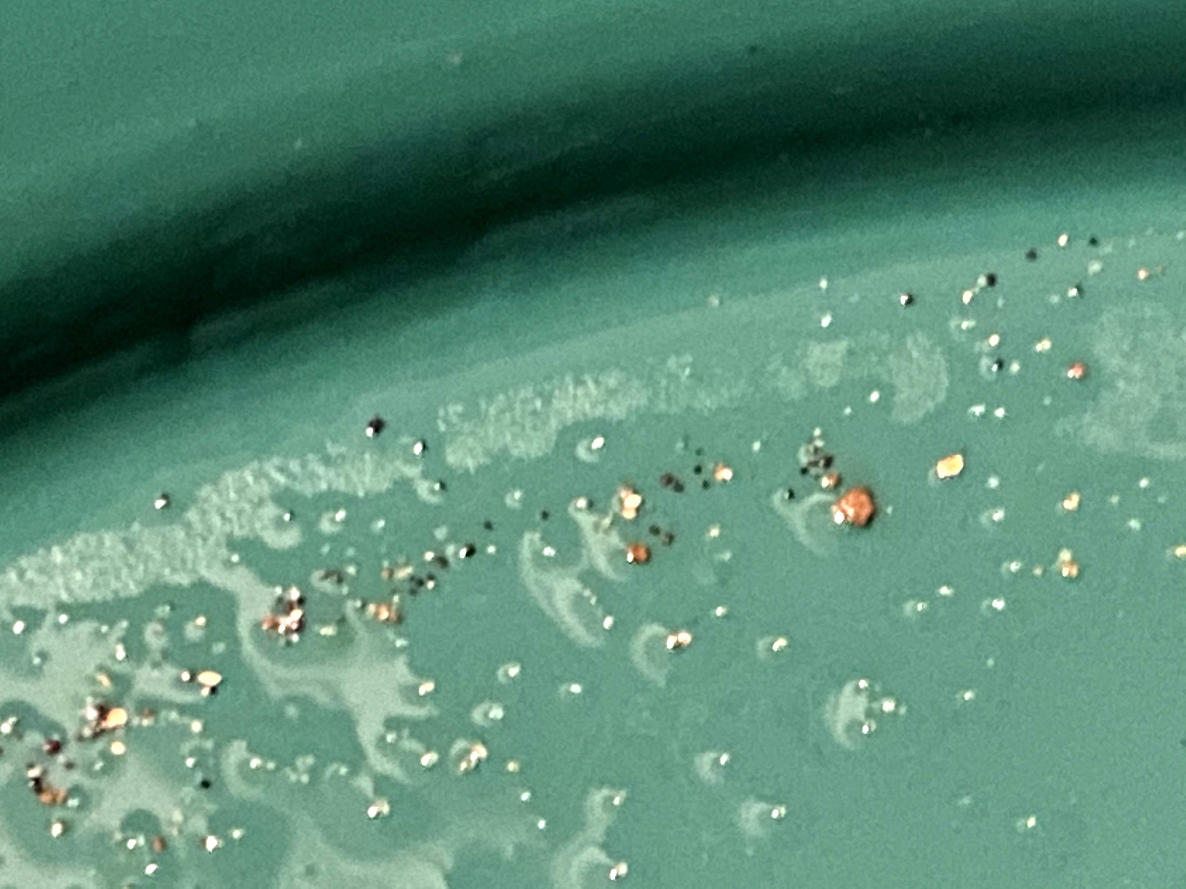 Member content 2 of 6