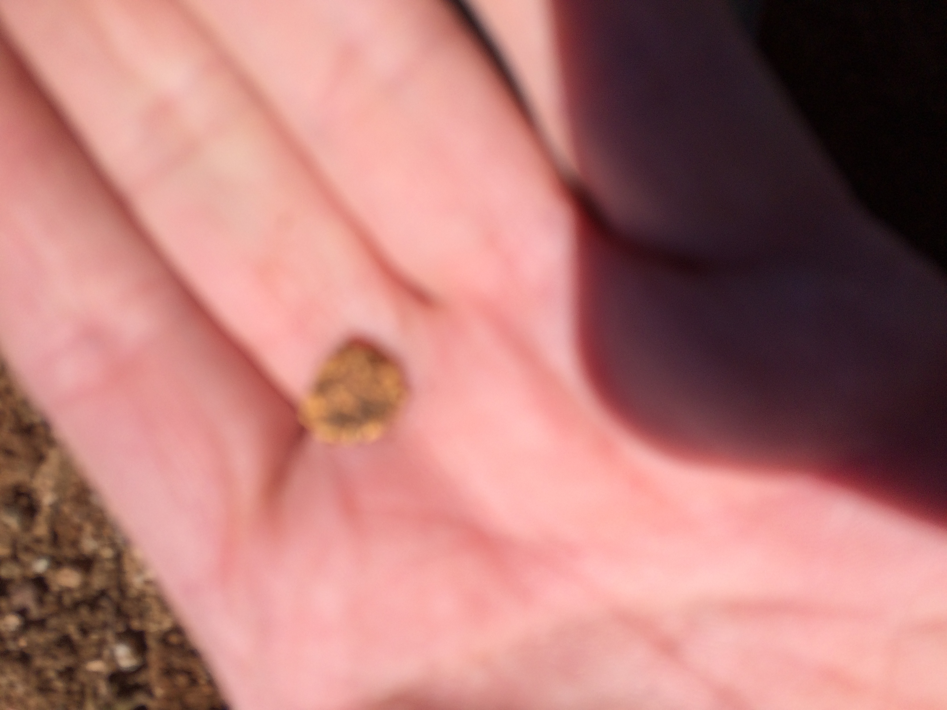 Member content 8 of 12