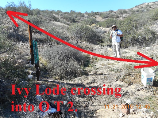 Member content 12 of 97