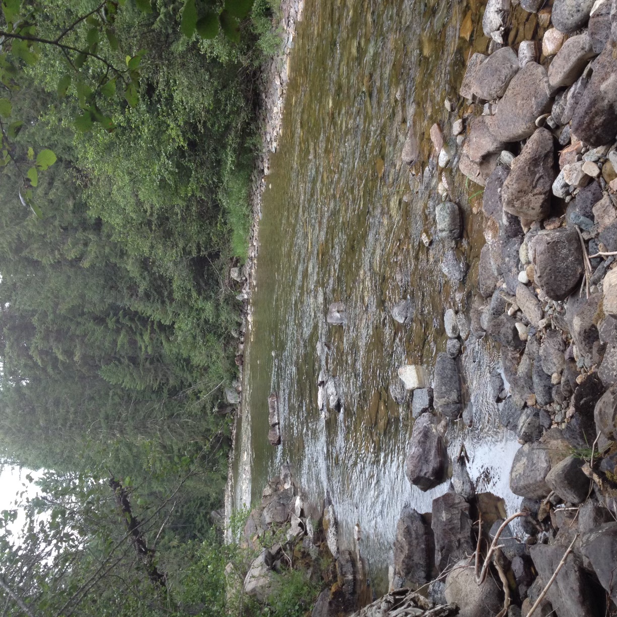 Member content 1 of 2