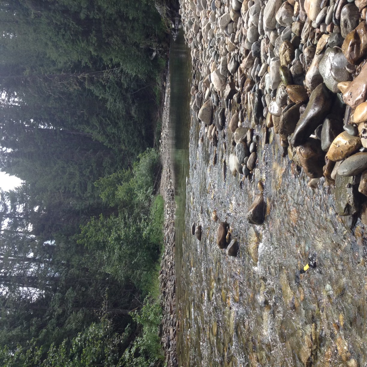 Member content 2 of 2