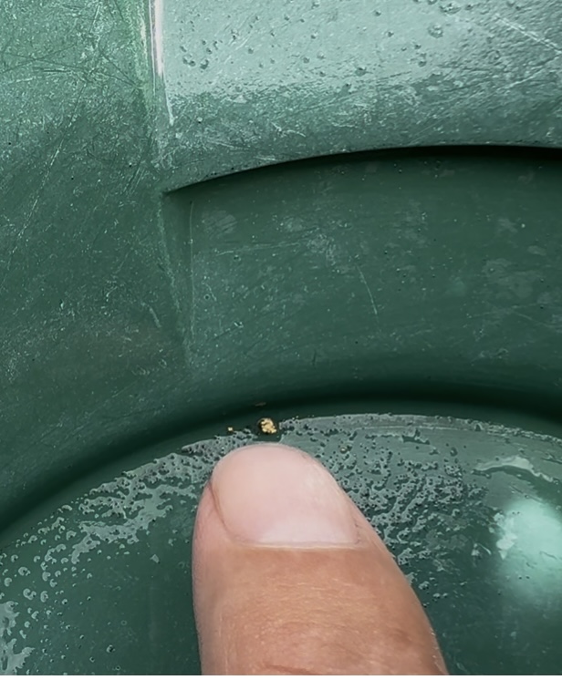 Member content 1 of 1