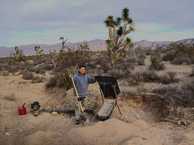 Member content 1 of 2