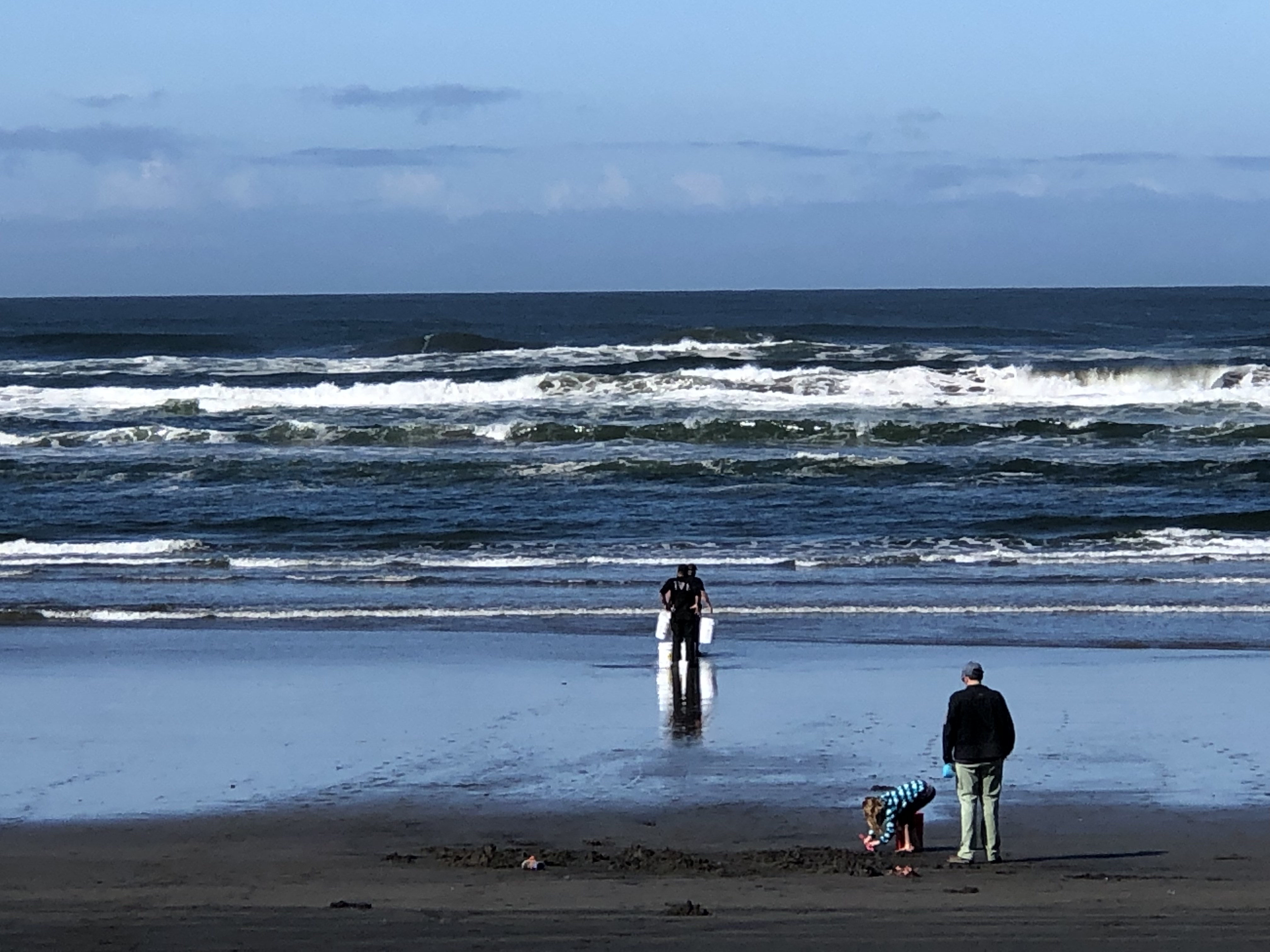 Member content 1 of 13